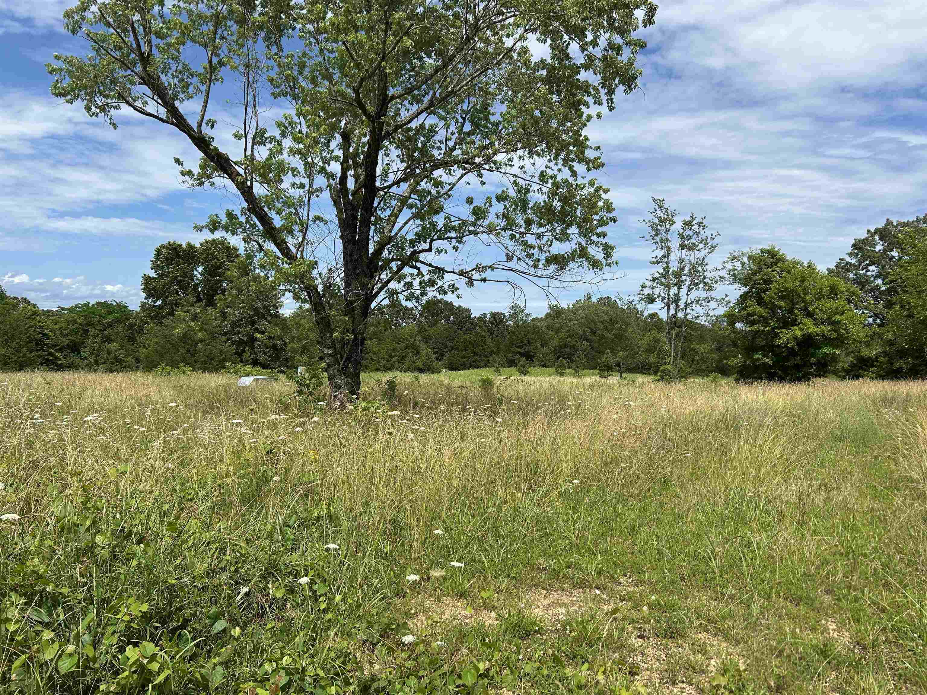 676 County Road 403  Alton, MO
