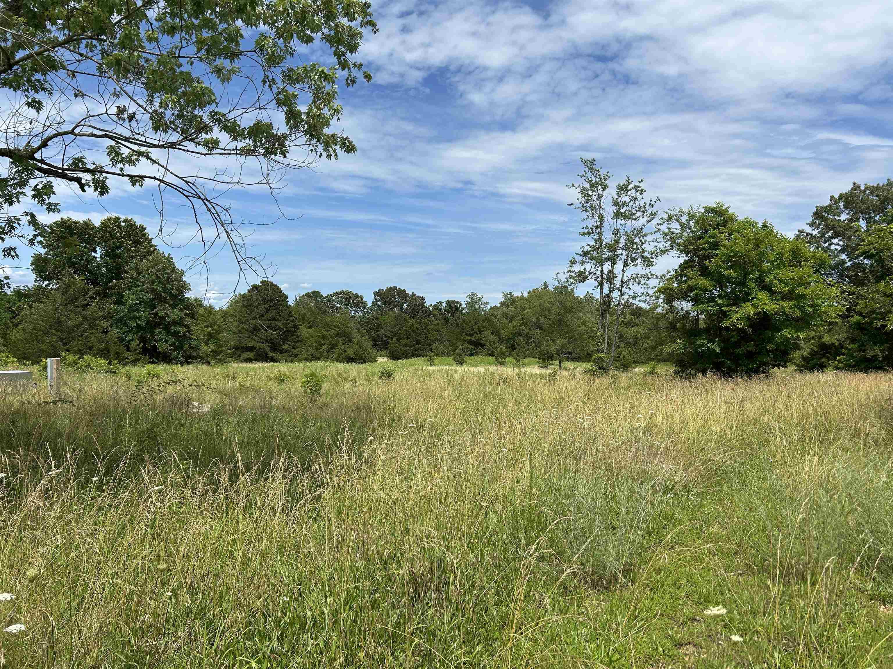 676 County Road 403  Alton, MO