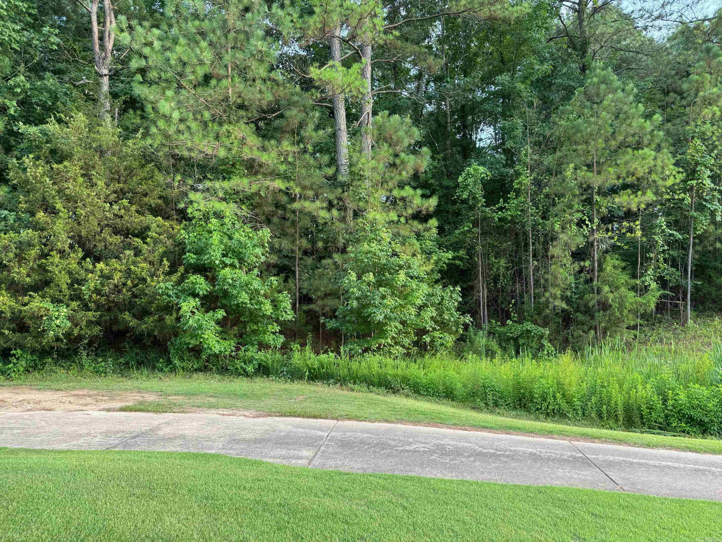 51 ELCANO  Hot Springs Village, AR