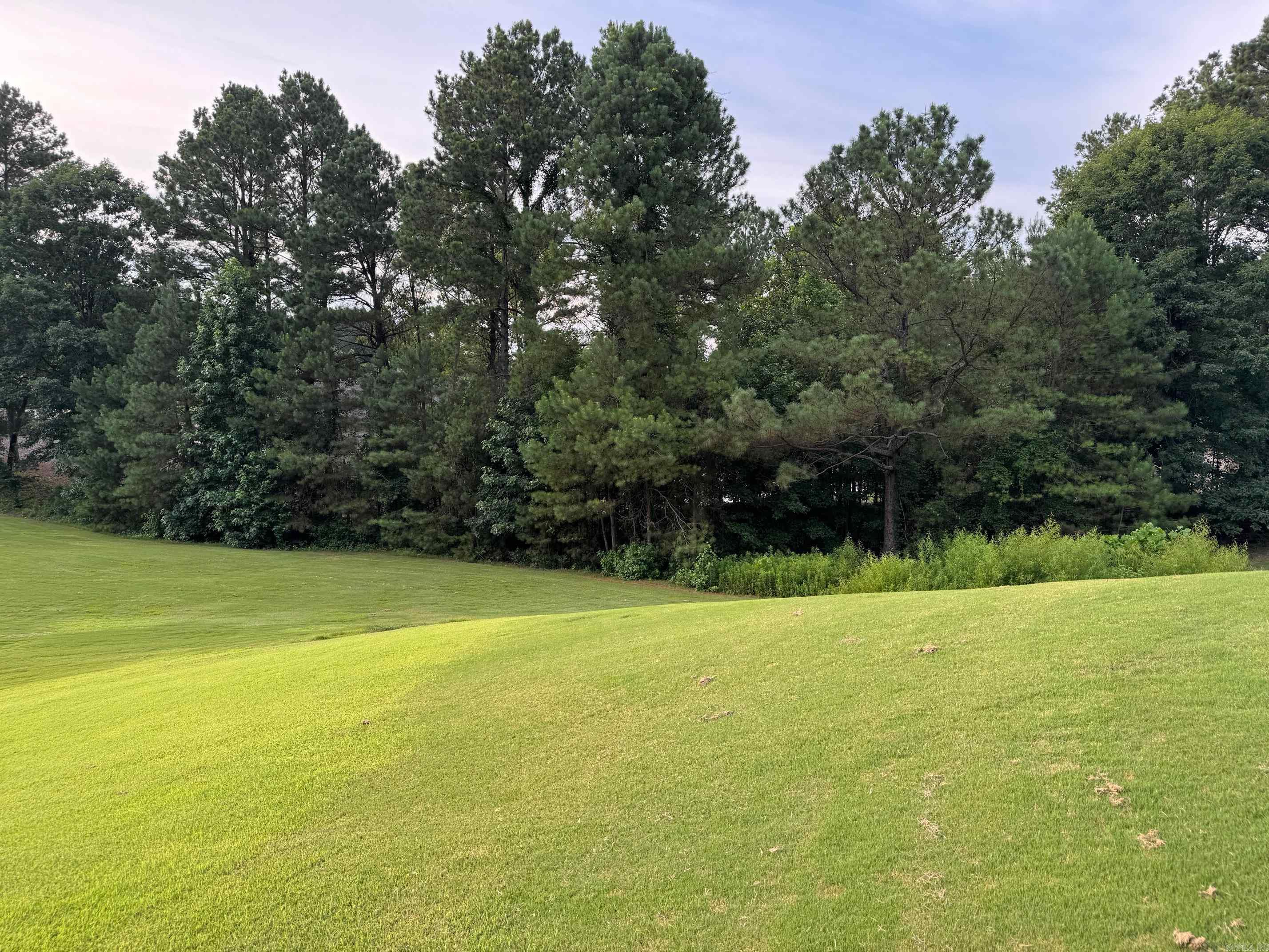 51 ELCANO  Hot Springs Village, AR