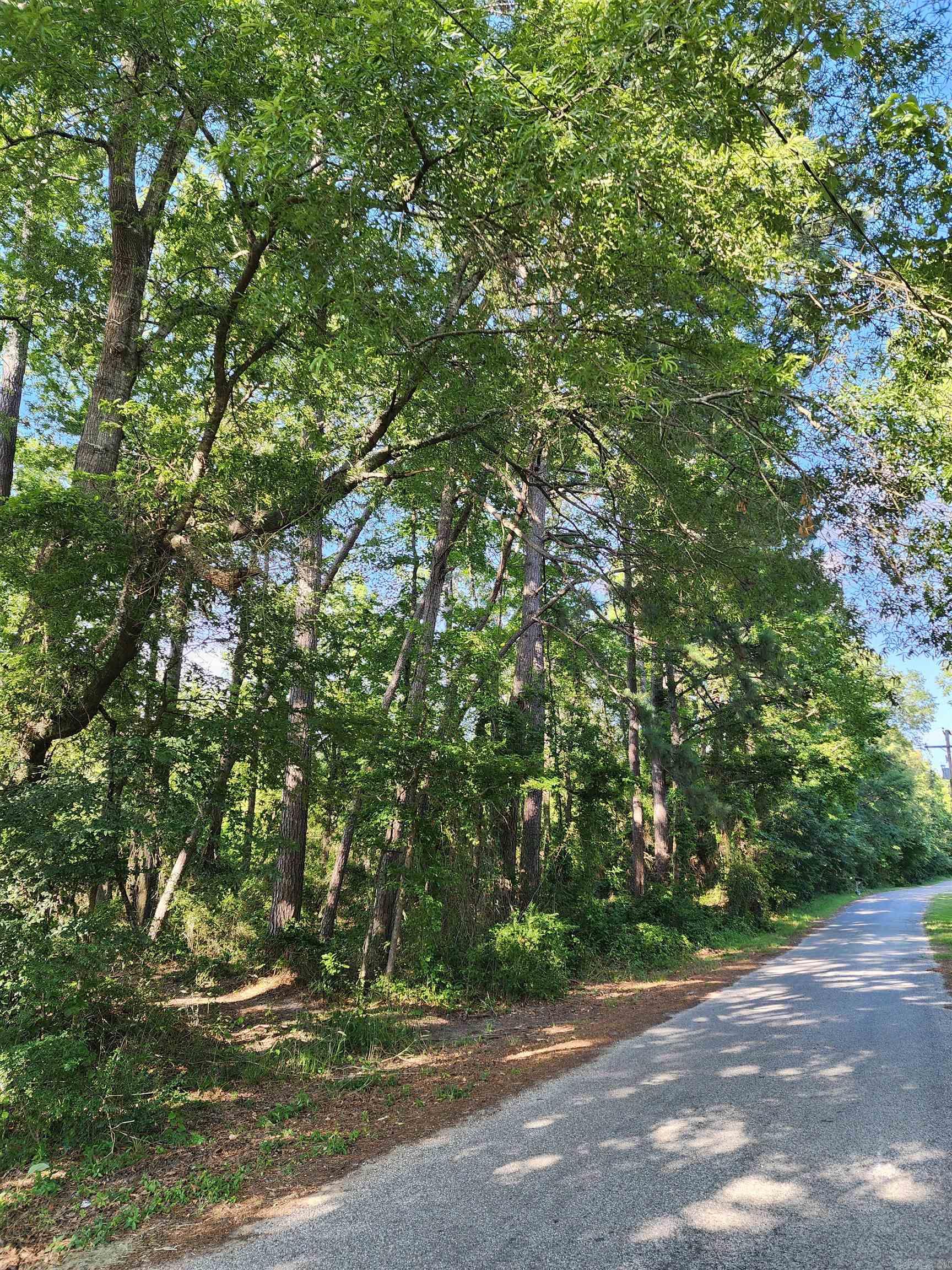 000 Shannon Dr  Leola, AR
