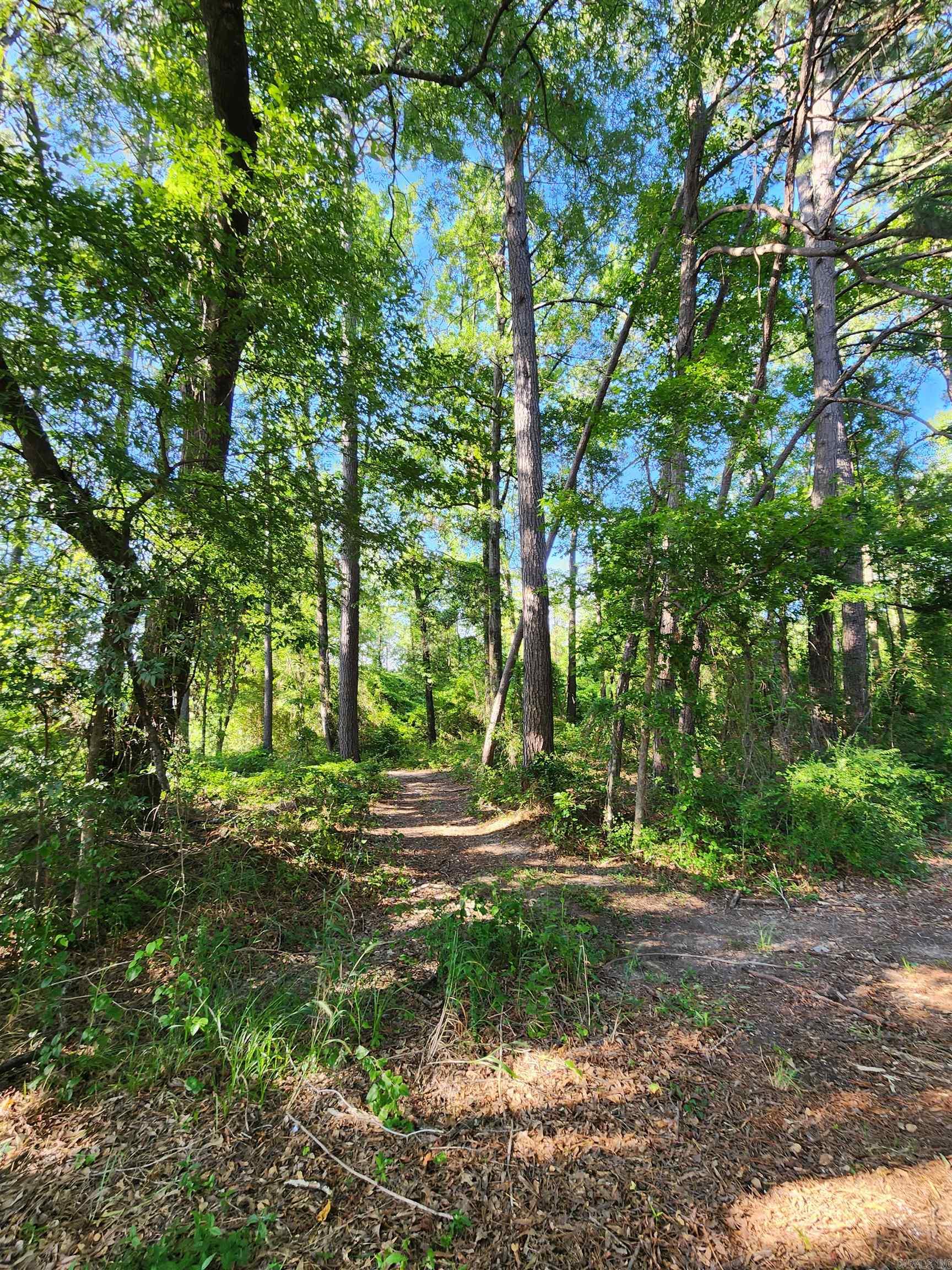 000 Shannon Dr  Leola, AR