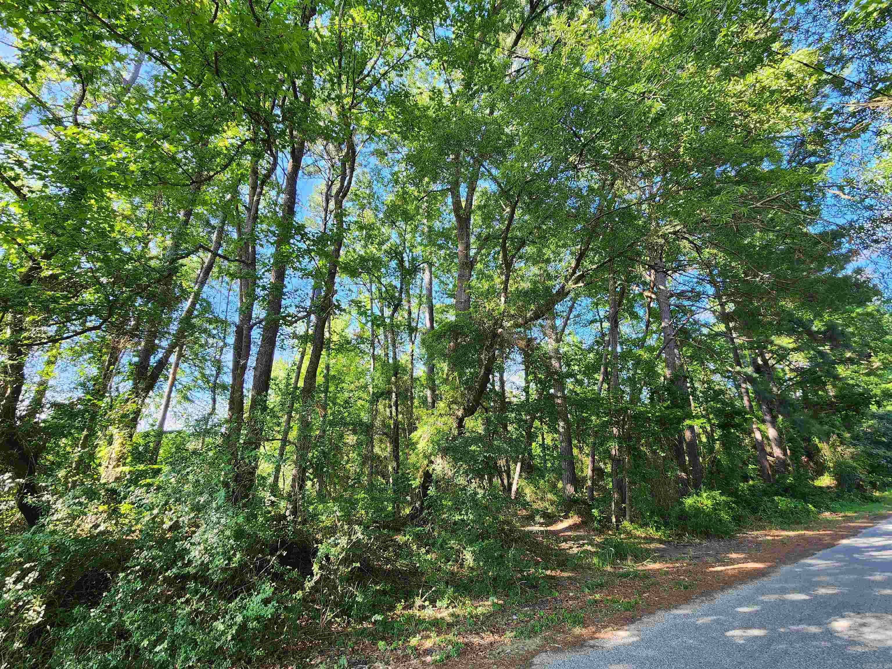 000 Shannon Dr  Leola, AR