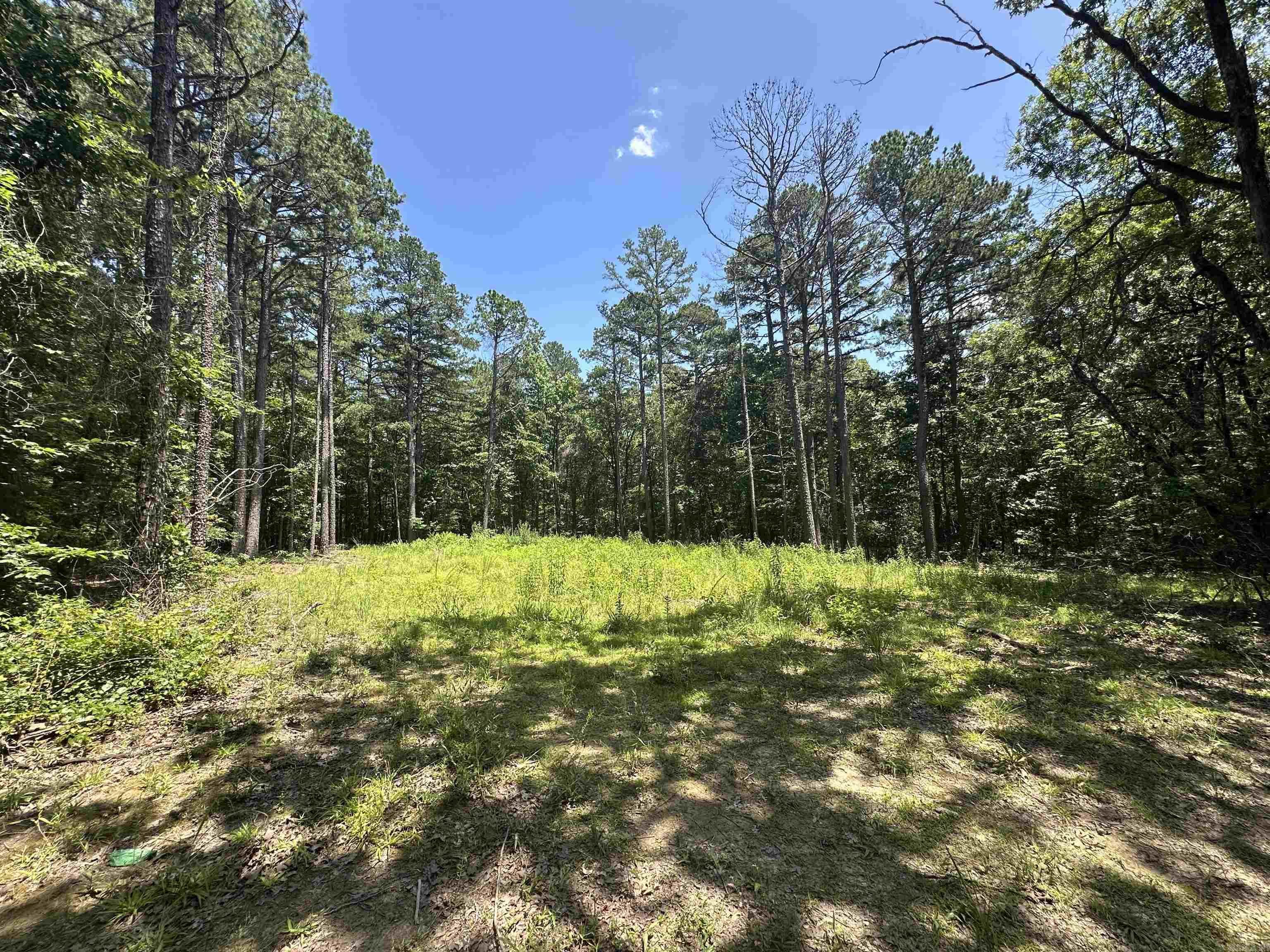 160 Acres America  Morrilton, AR