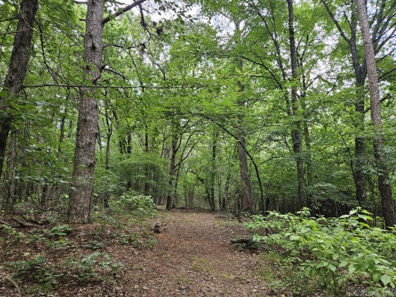 160 Acres America  Morrilton, AR