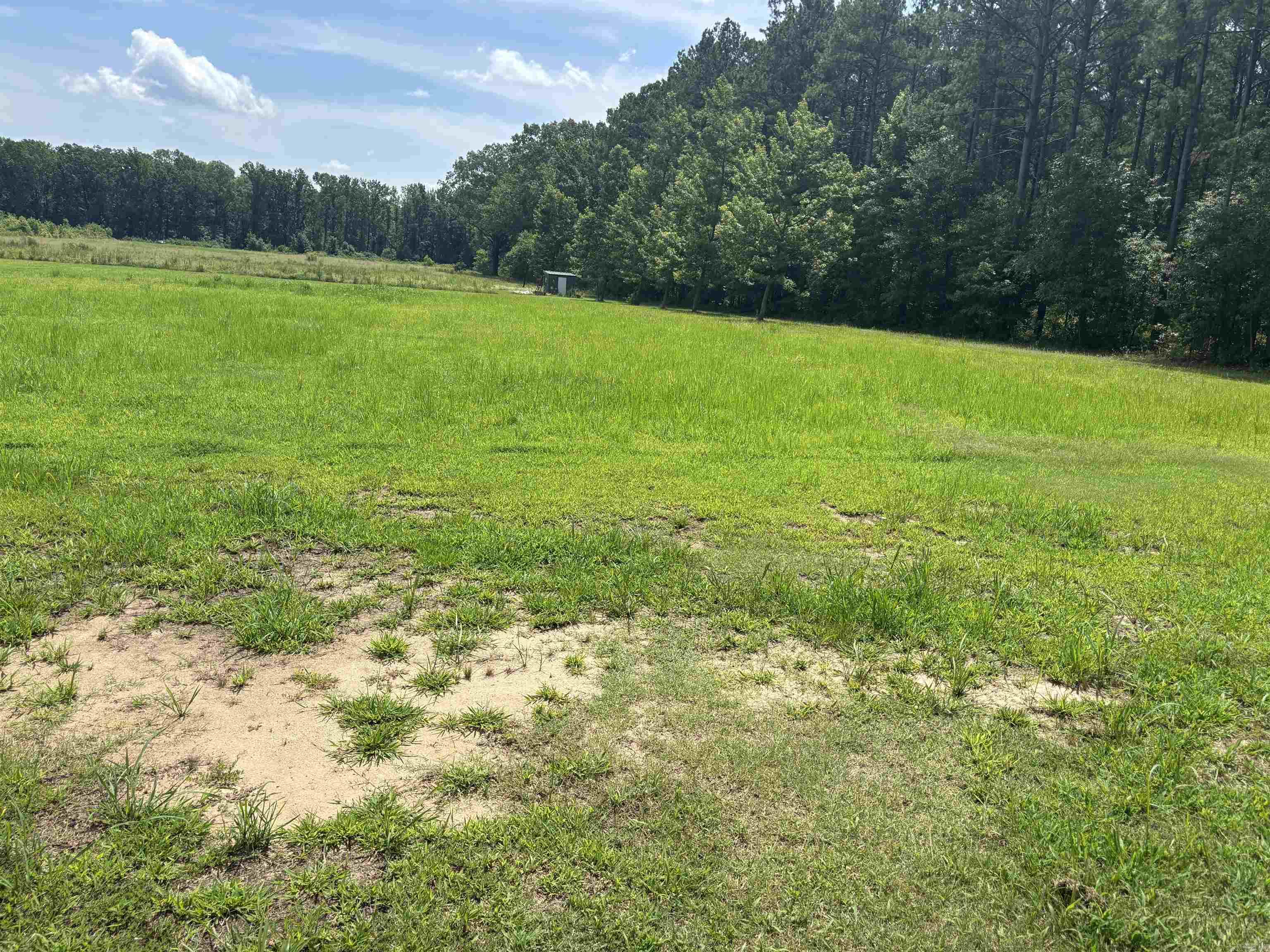 225 Donnie Holt Road  McRae, AR