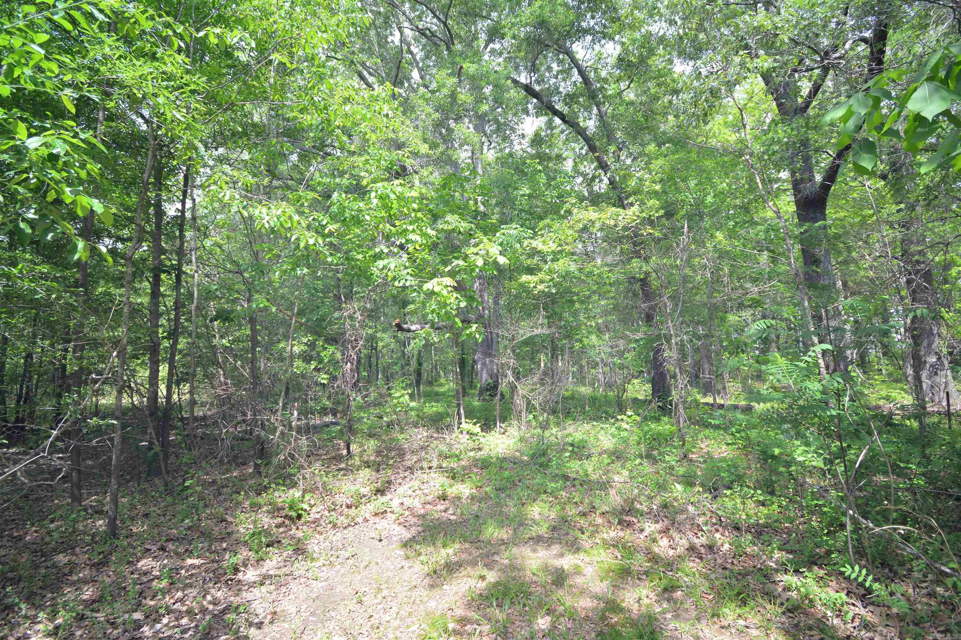 135 Worden  Bald Knob, AR