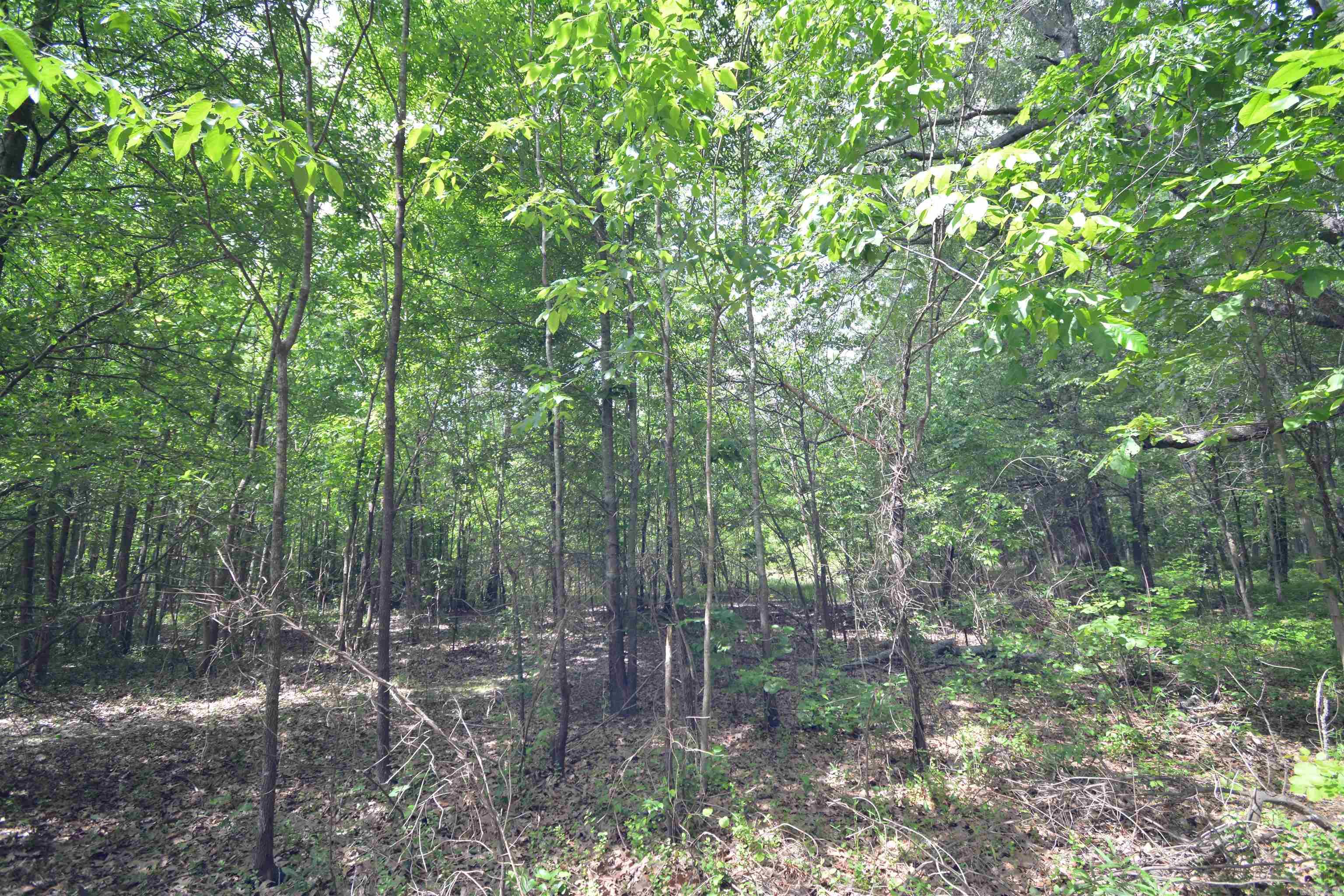 135 Worden  Bald Knob, AR