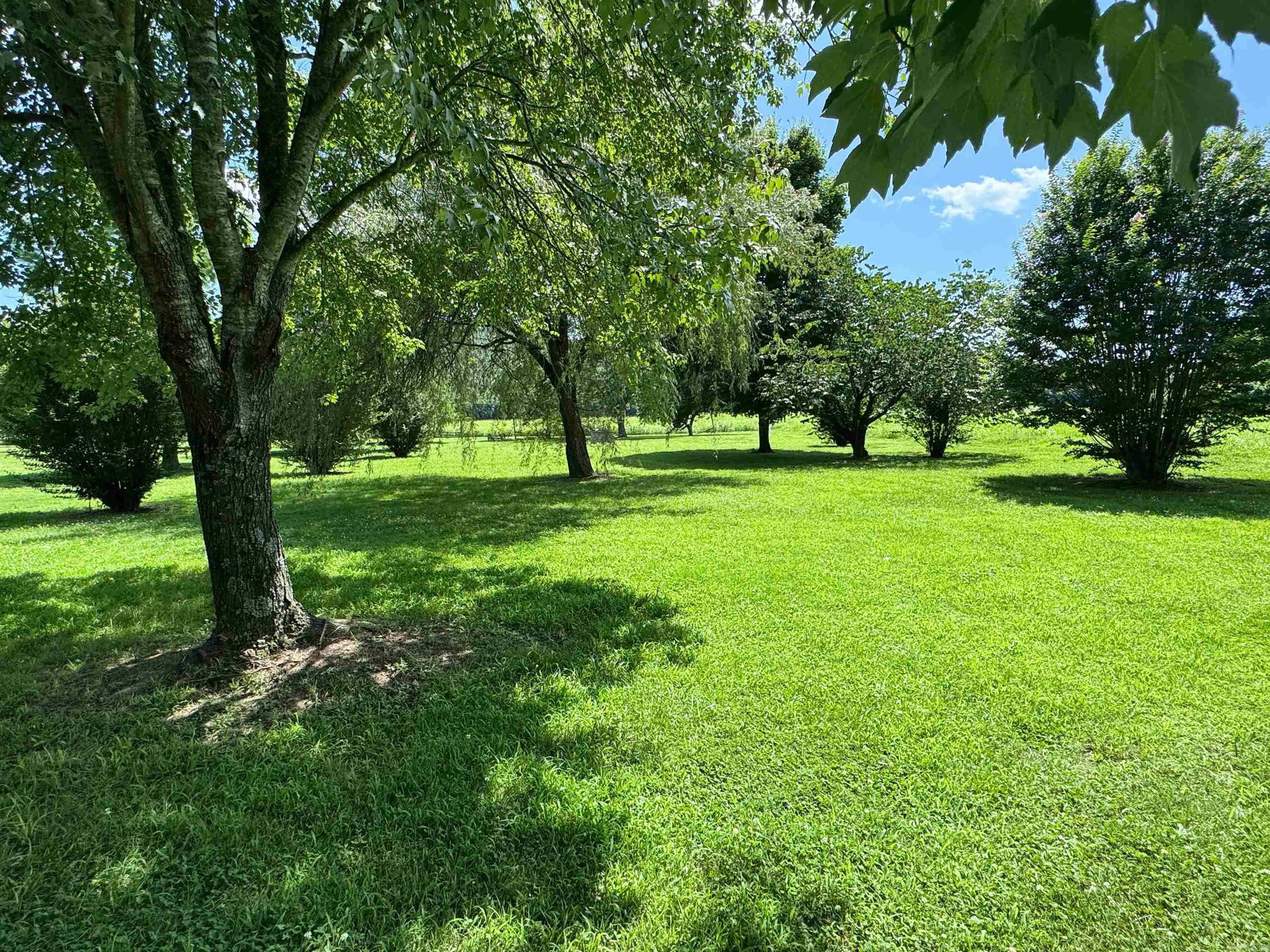 681 Jellon Dr  Mountain View, AR