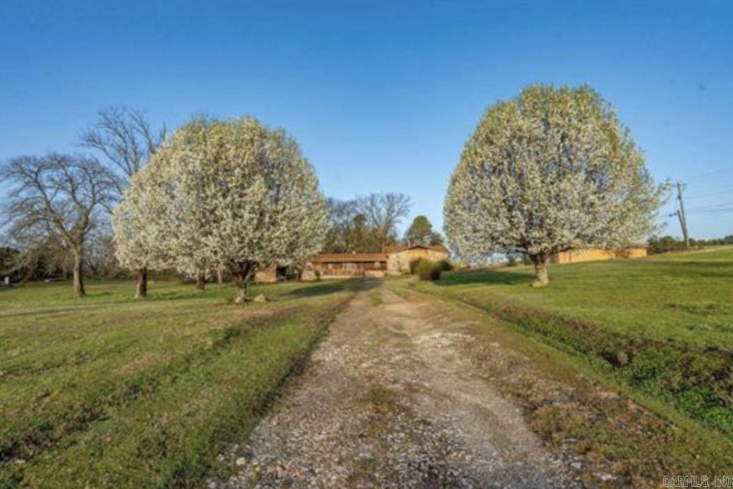 130 S Persimmon  Hot Springs, AR