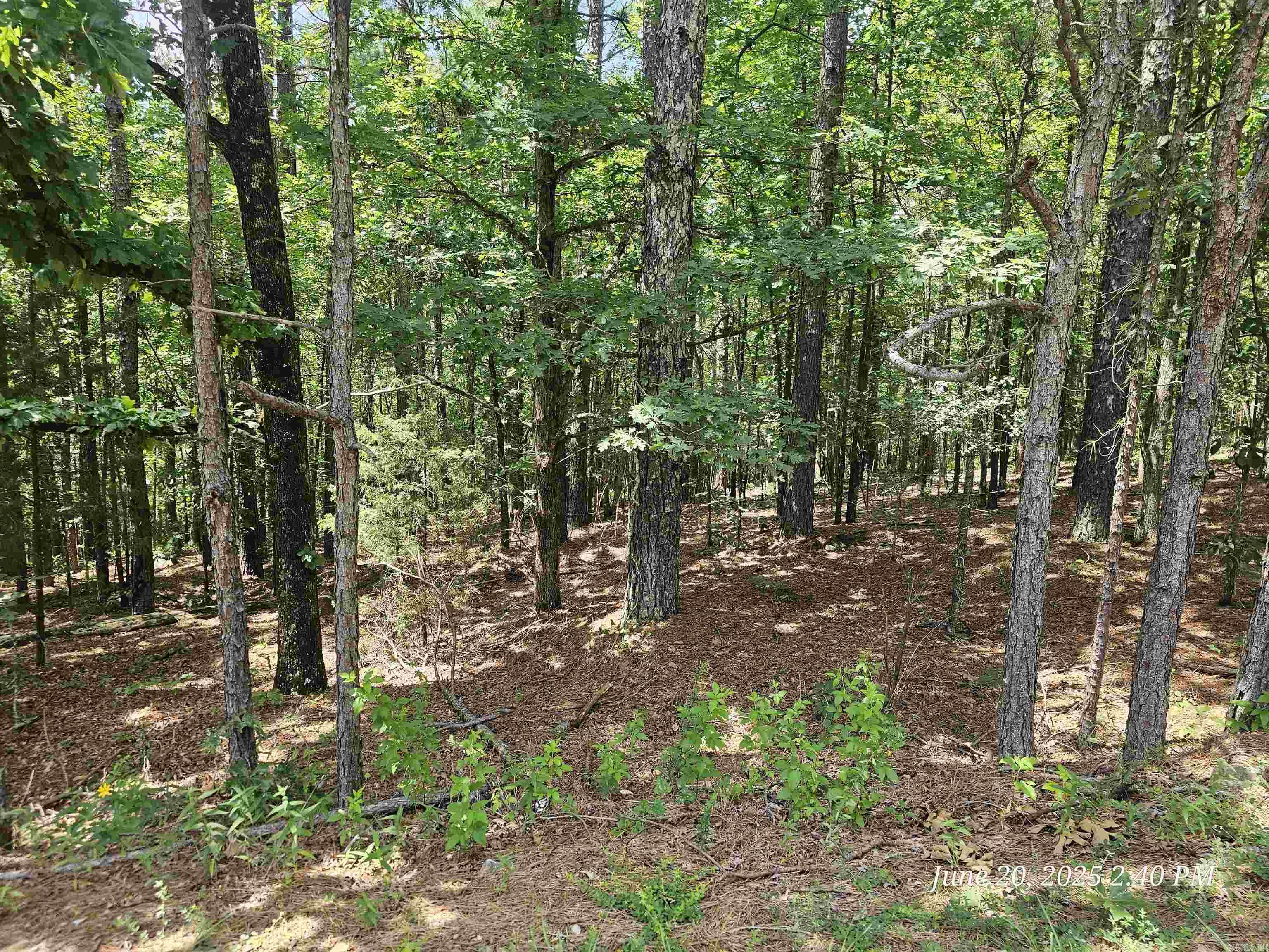 174 Castano  Hot Springs Village, AR