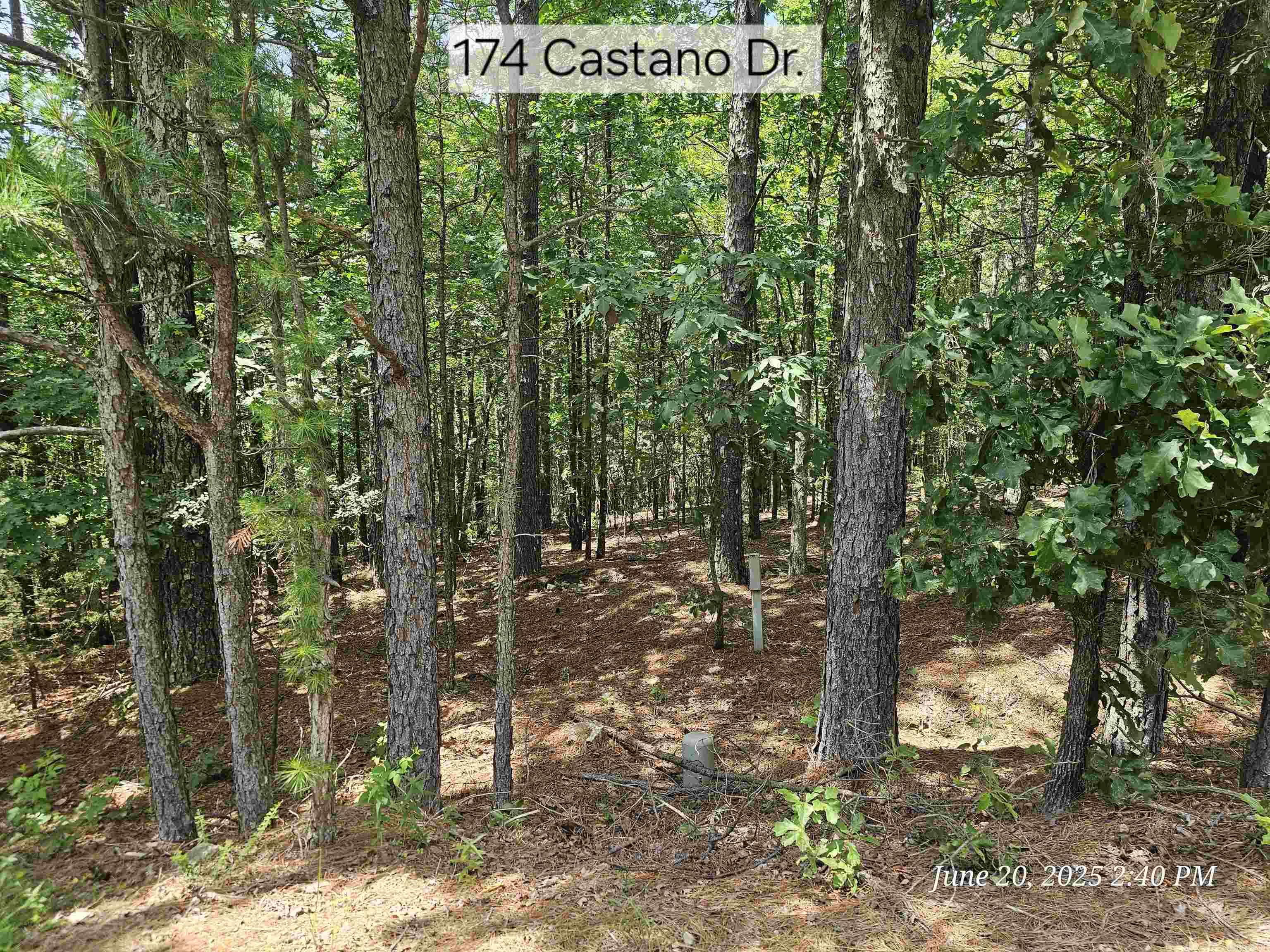 174 Castano  Hot Springs Village, AR