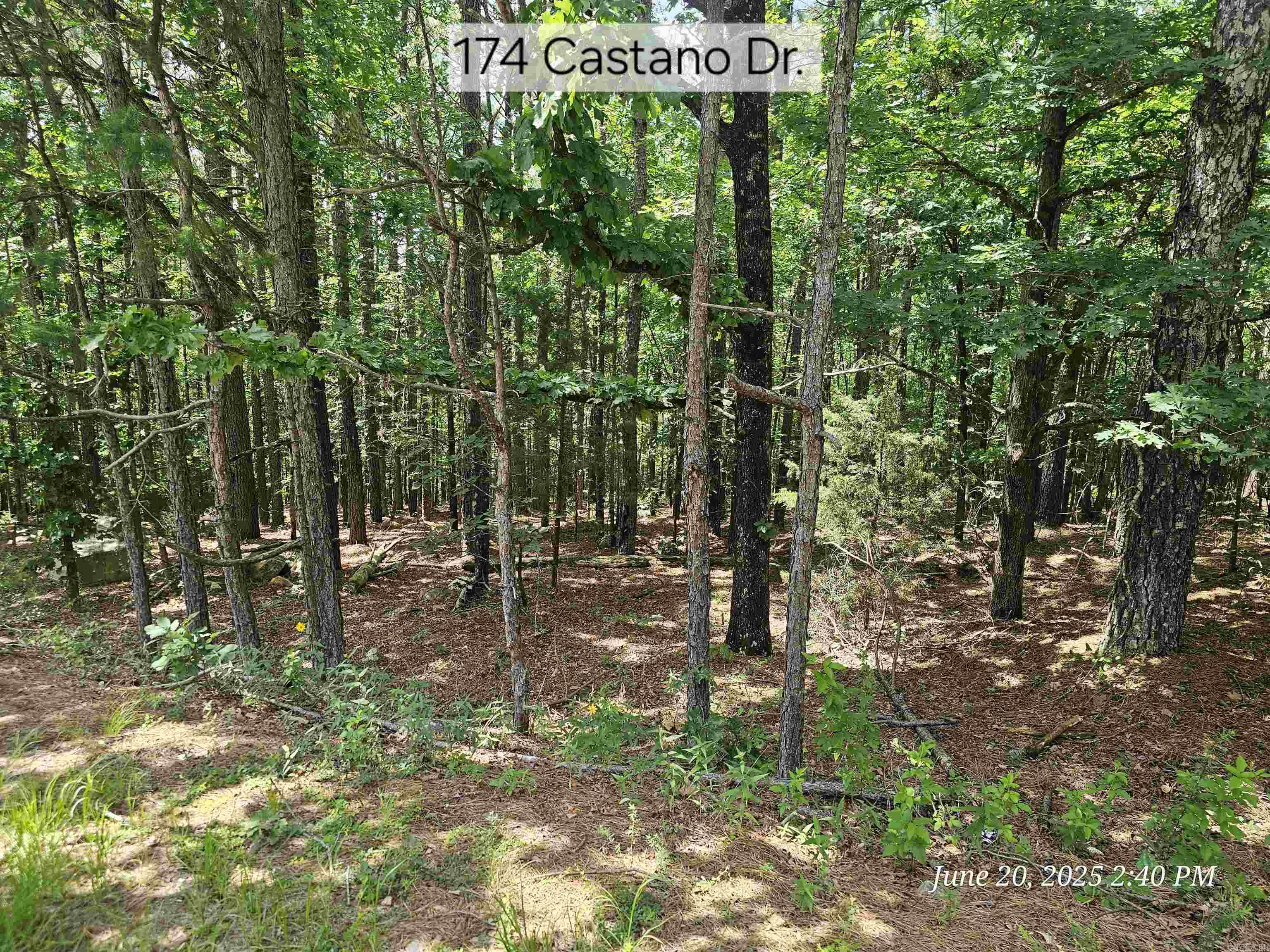 174 Castano  Hot Springs Village, AR