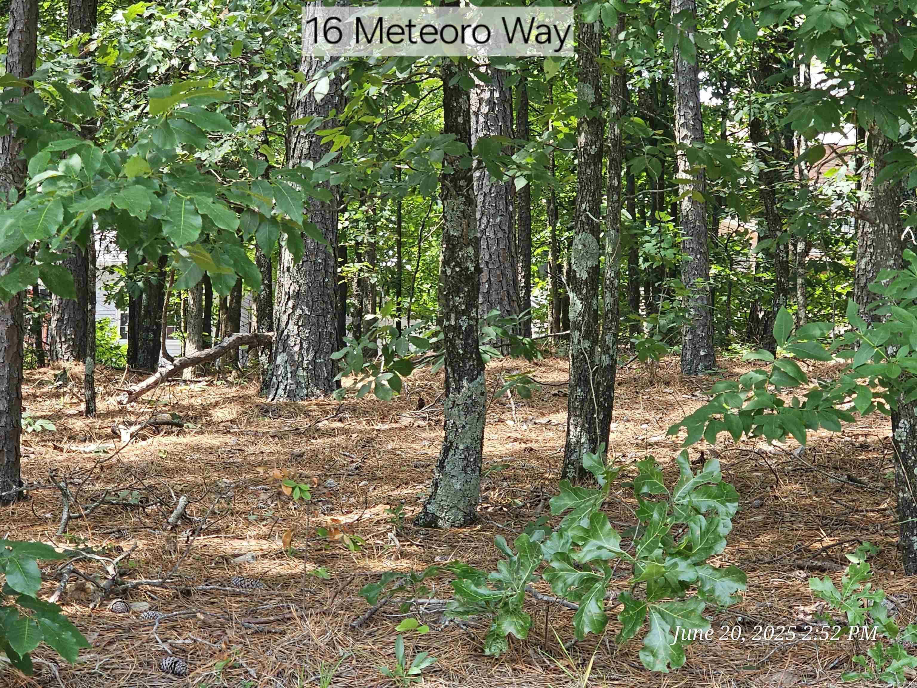 16 Meteoro  Hot Springs Village, AR