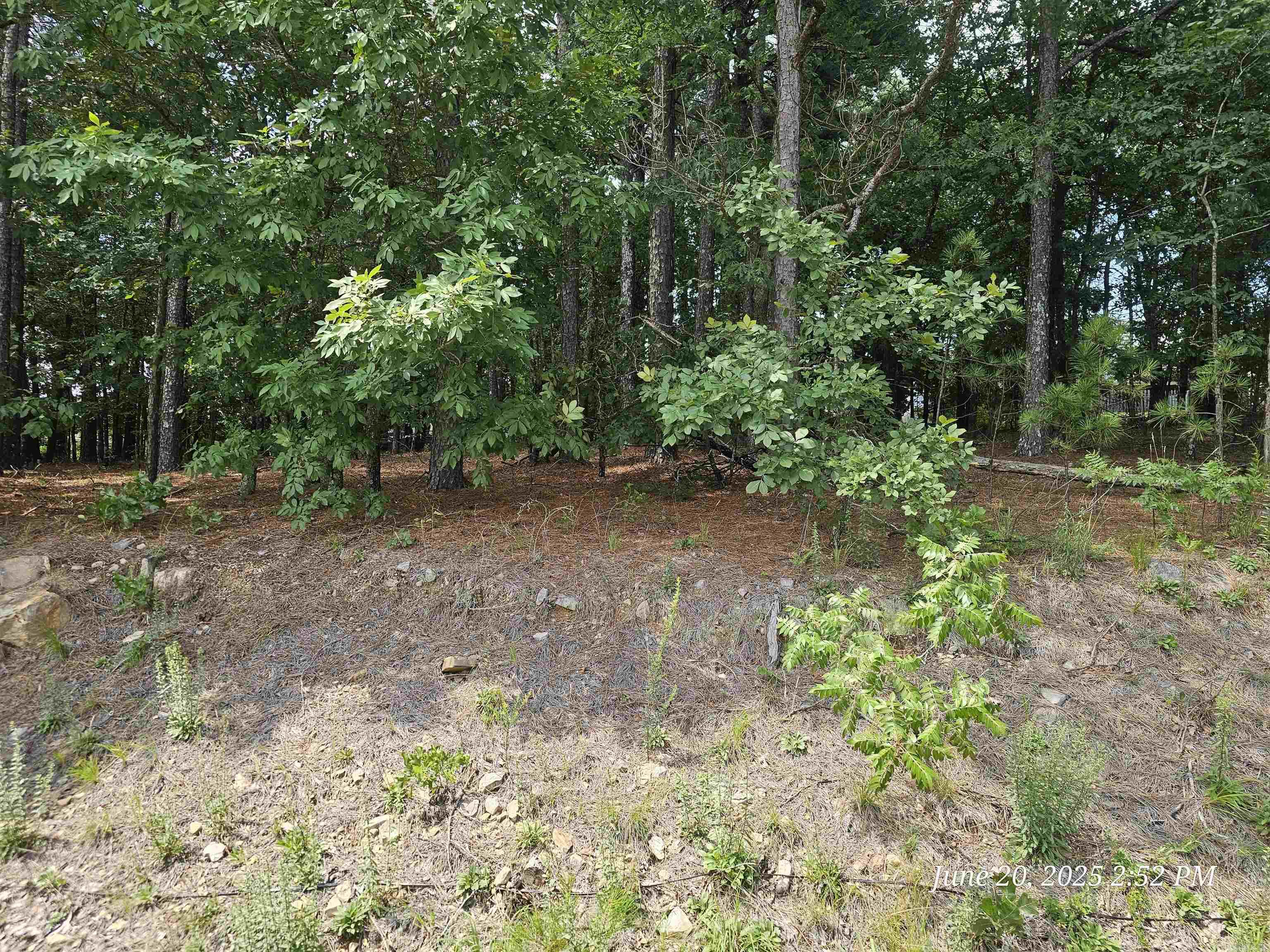 16 Meteoro  Hot Springs Village, AR