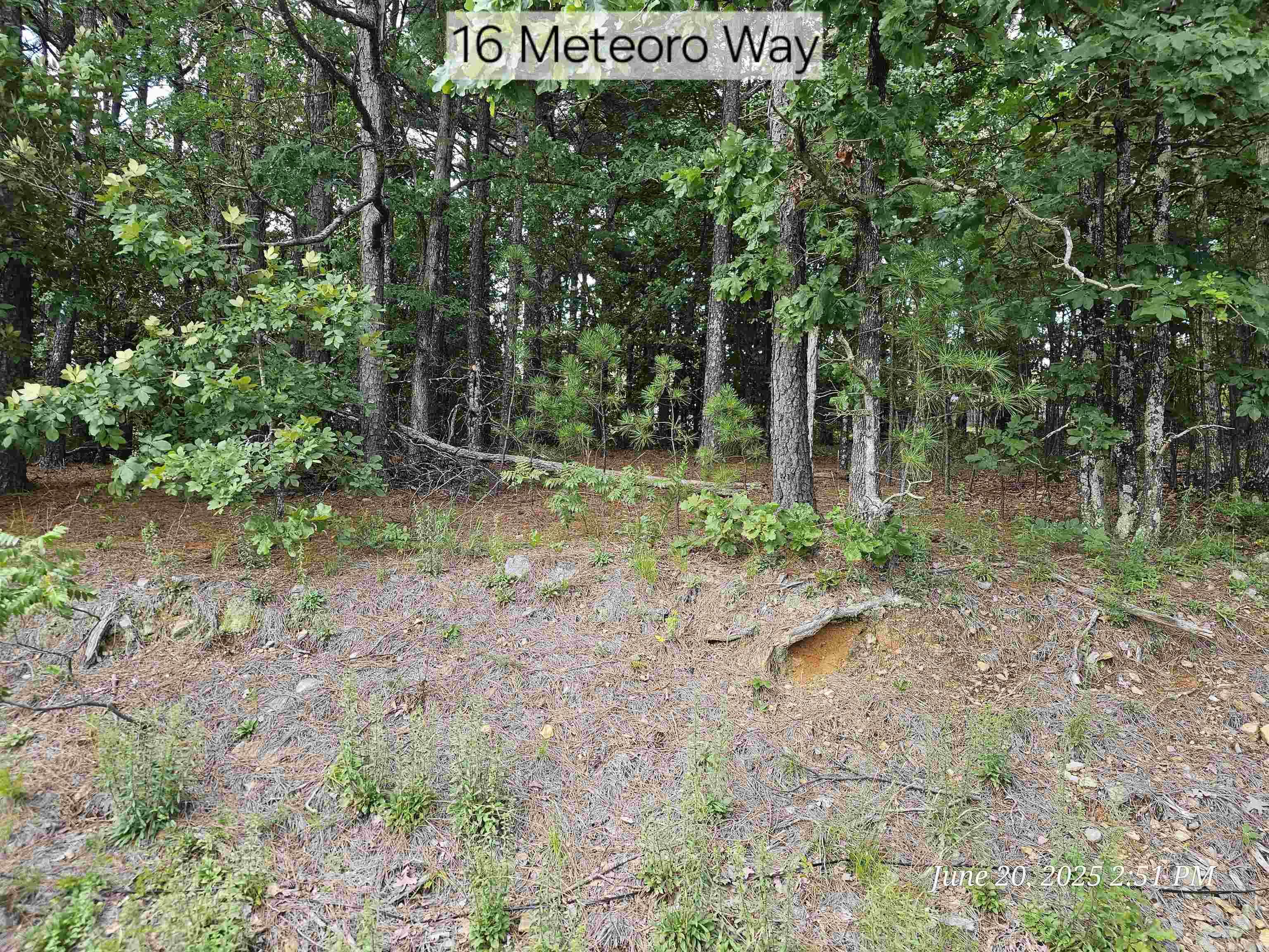16 Meteoro  Hot Springs Village, AR