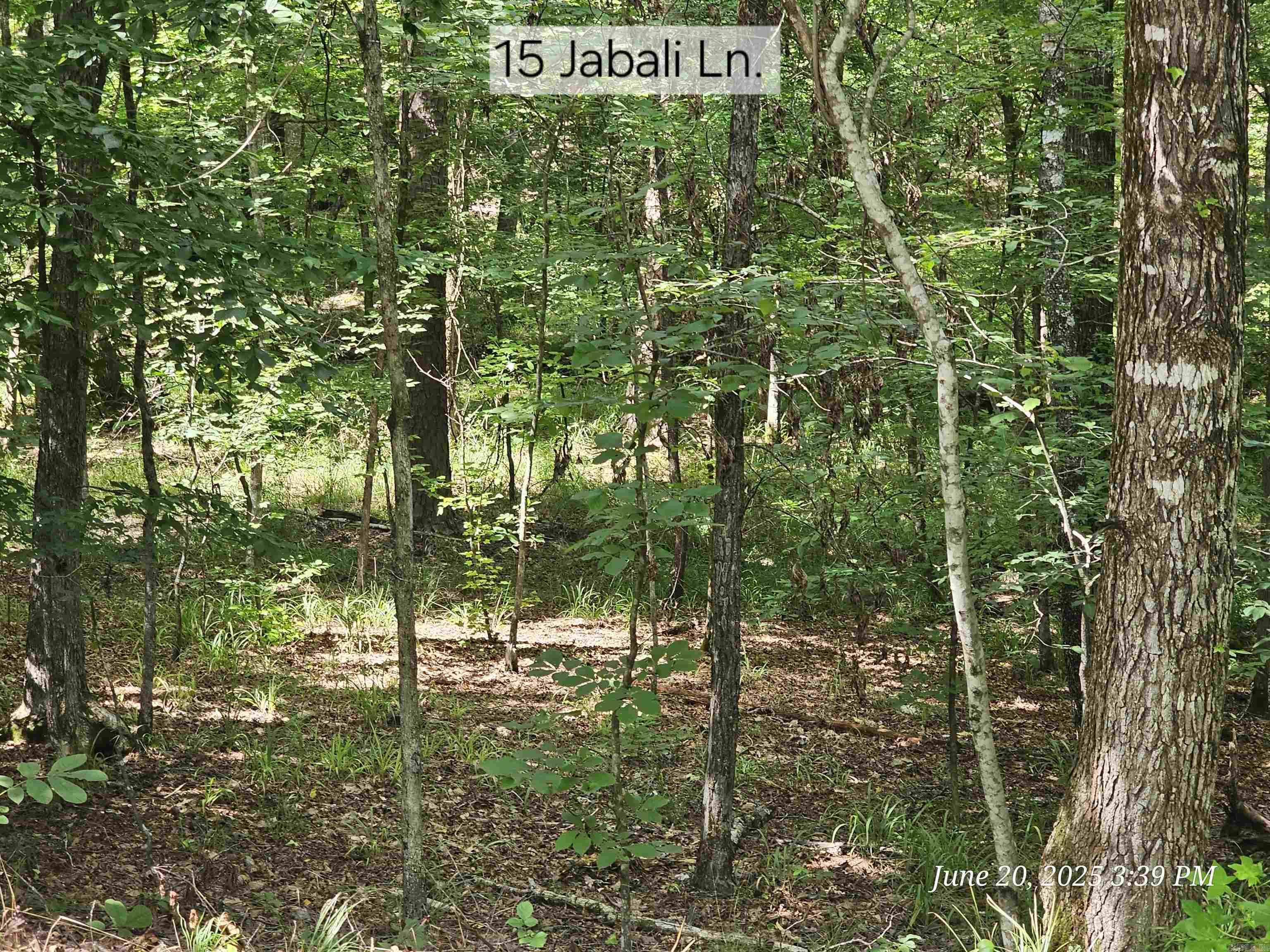 15 Jabali  Hot Springs Village, AR