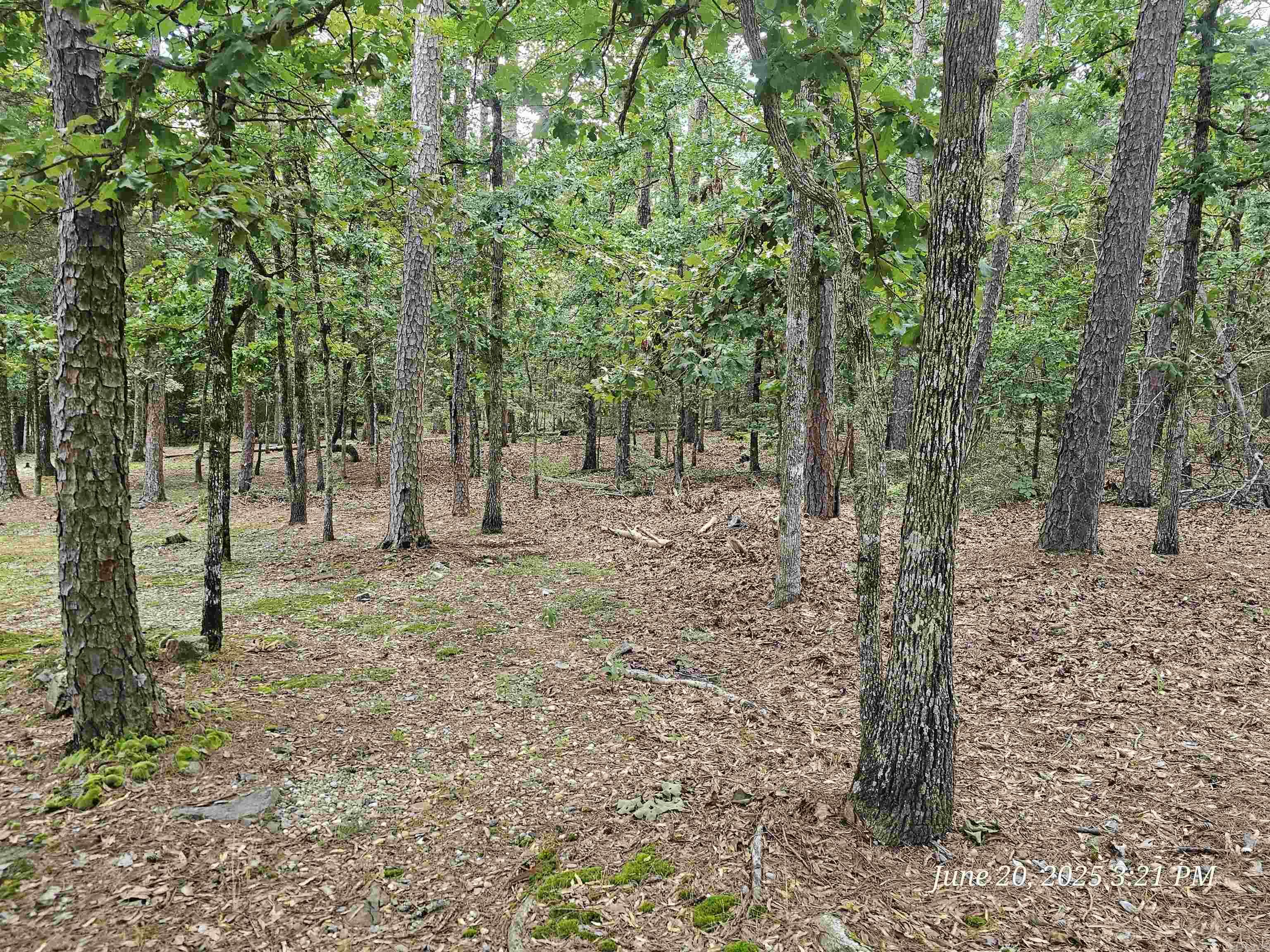23 Fastota  Hot Springs Village, AR