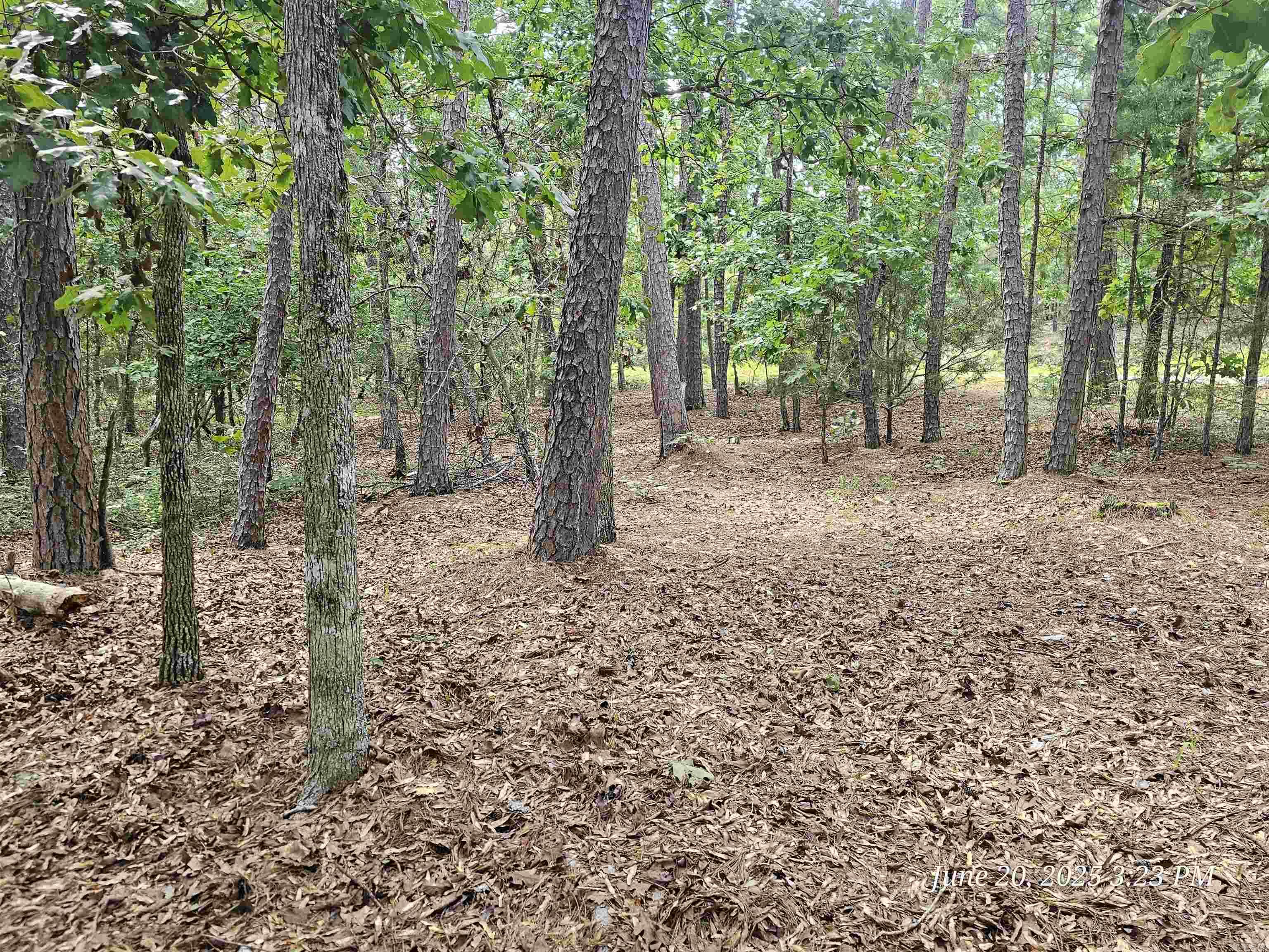 23 Fastota  Hot Springs Village, AR