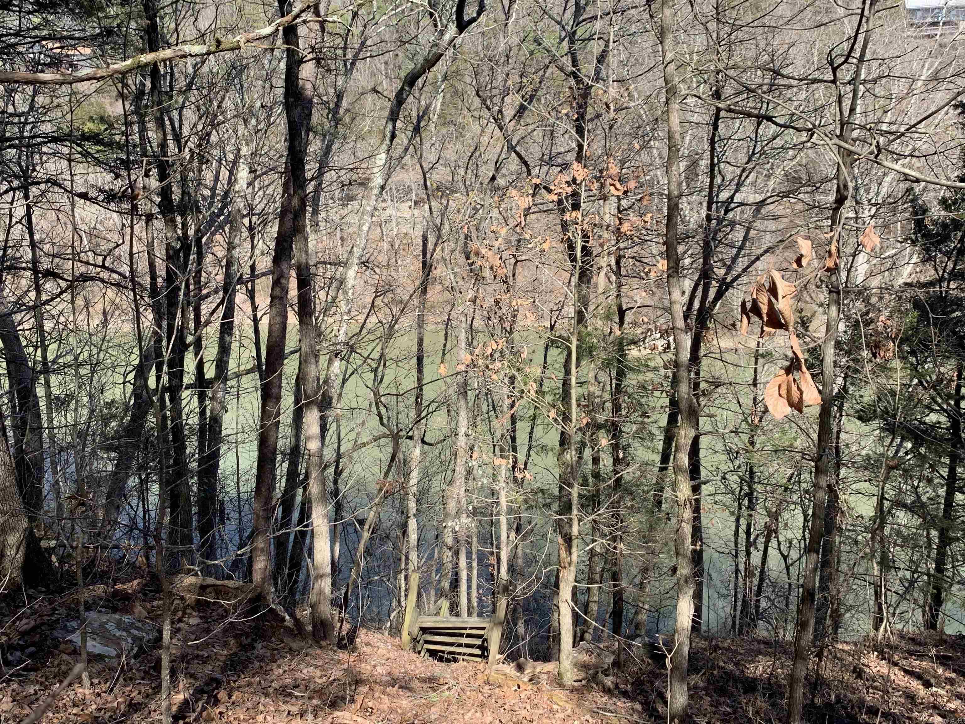 133 Meadowcliff Cir  Fairfield Bay, AR