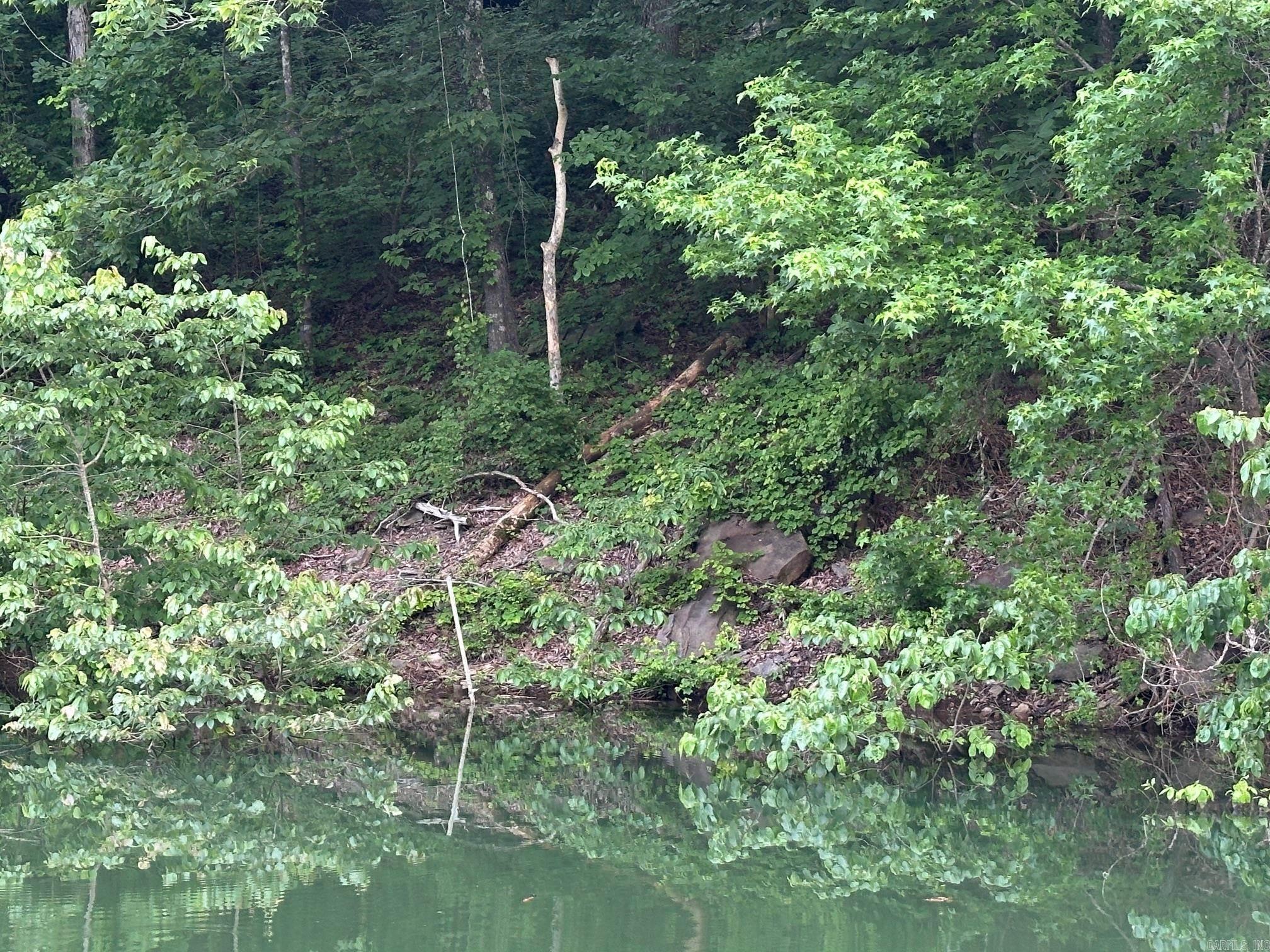 133 Meadowcliff Cir  Fairfield Bay, AR
