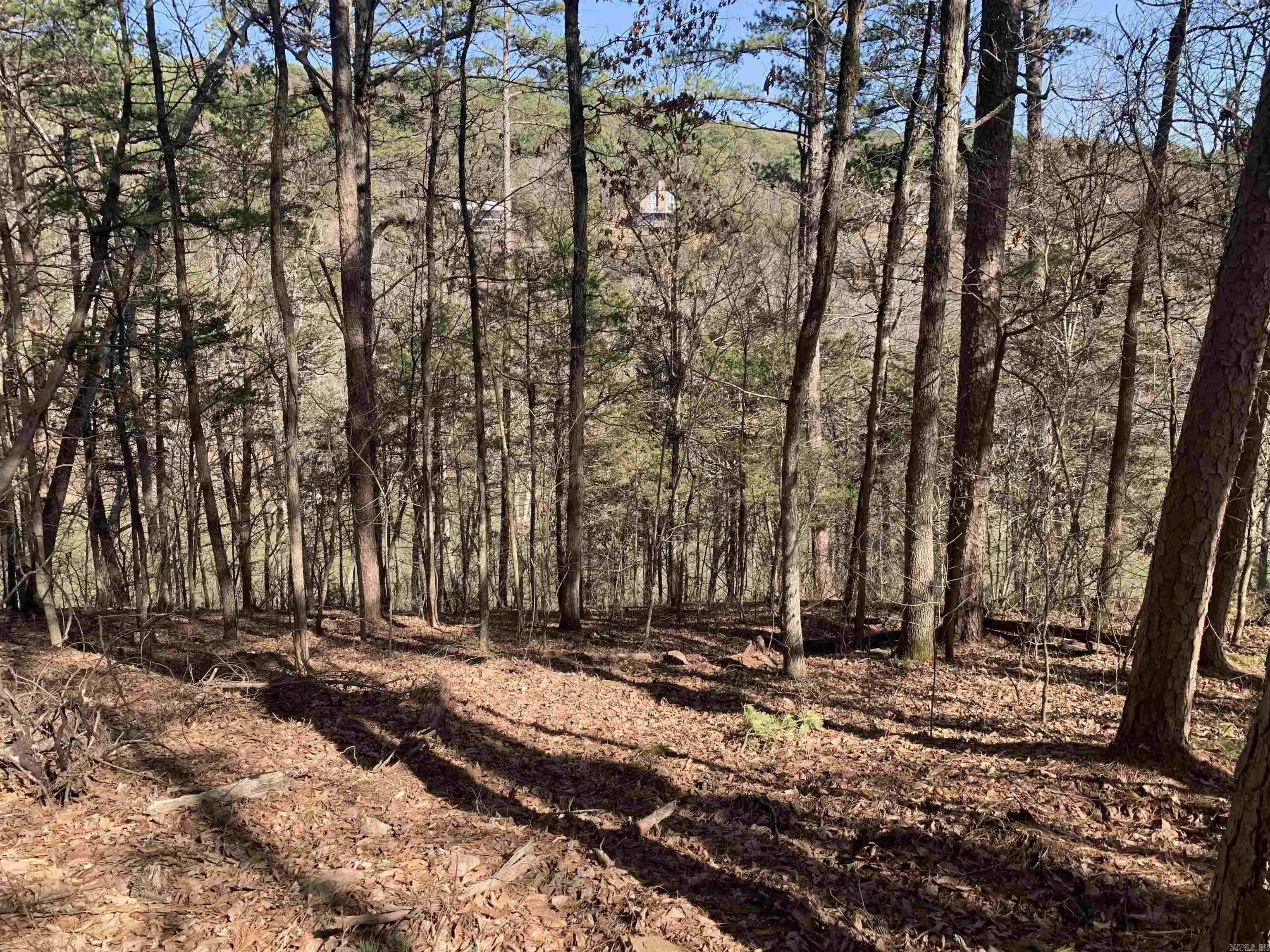 133 Meadowcliff Cir  Fairfield Bay, AR