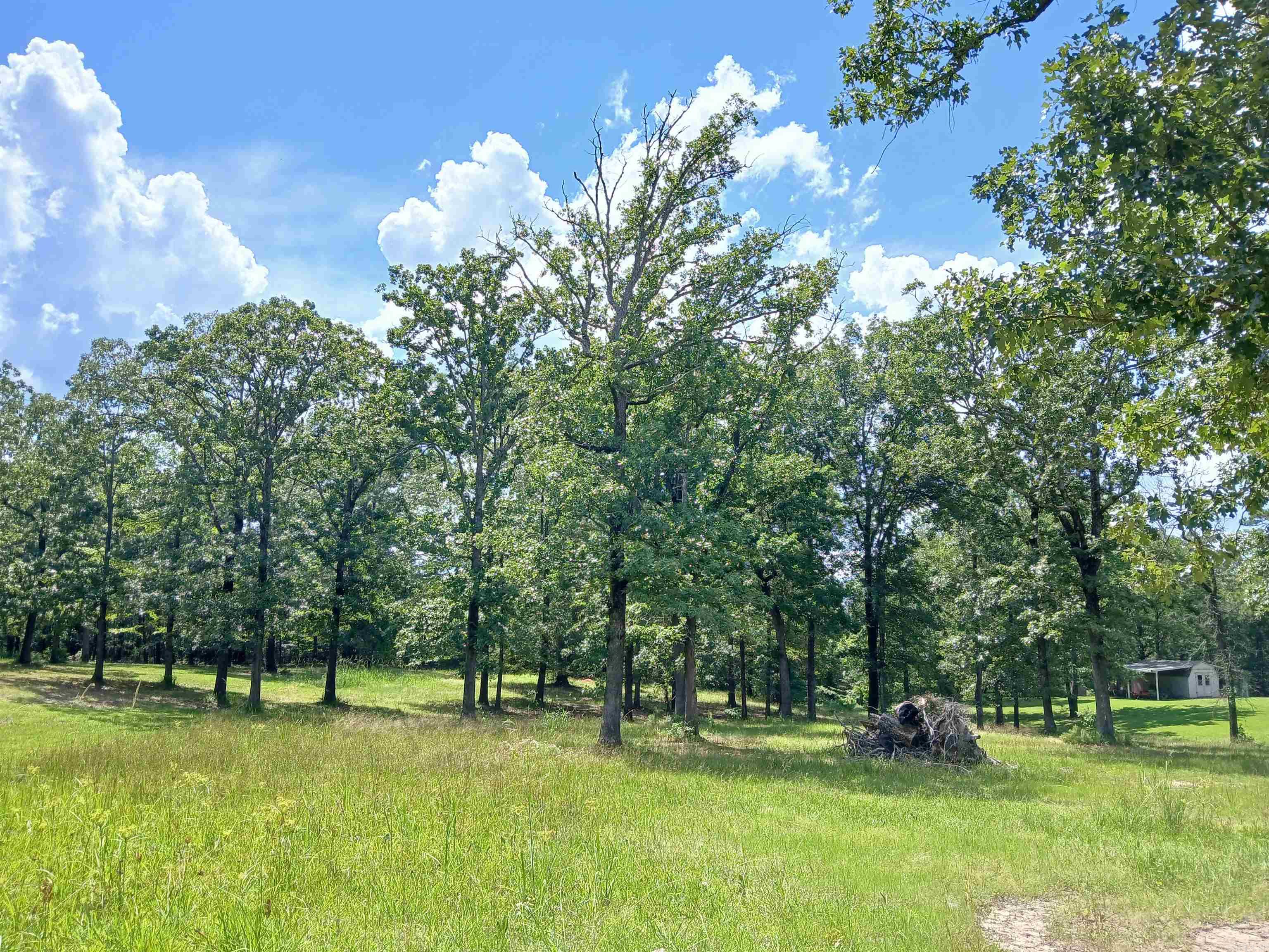 224 Veranda  Pearcy, AR