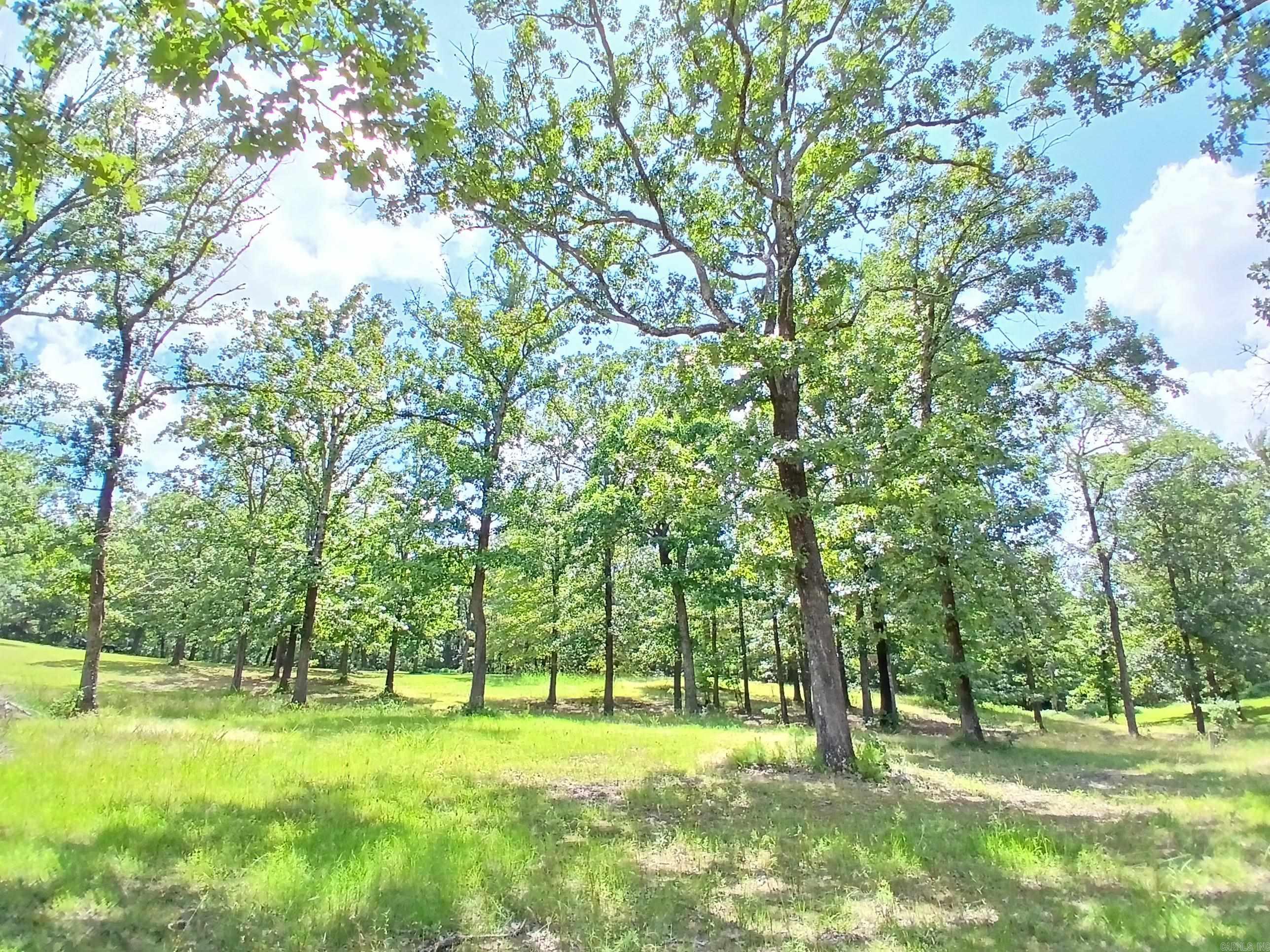 224 Veranda  Pearcy, AR