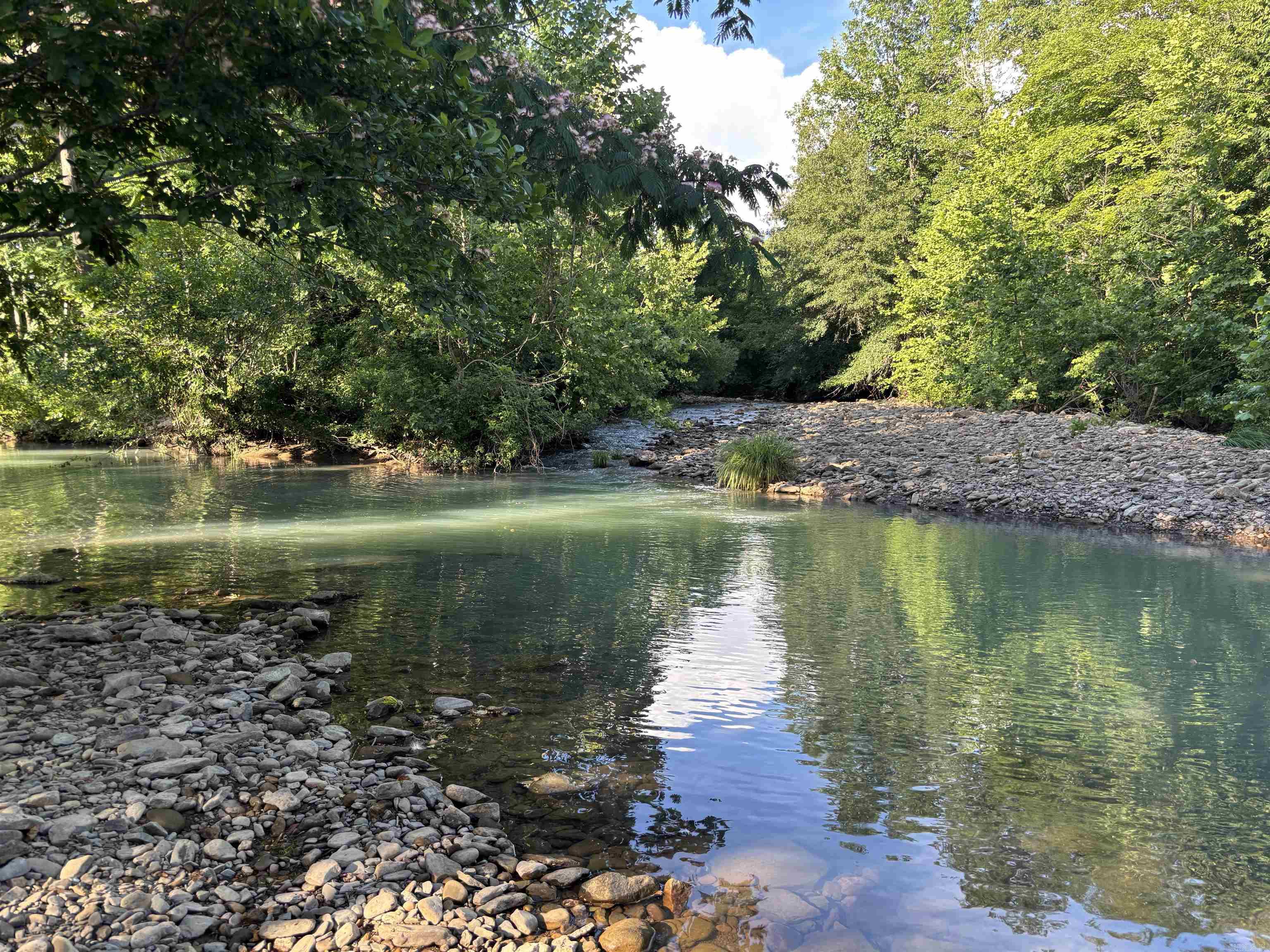 225 County Road 5351 Ozone, AR 72854