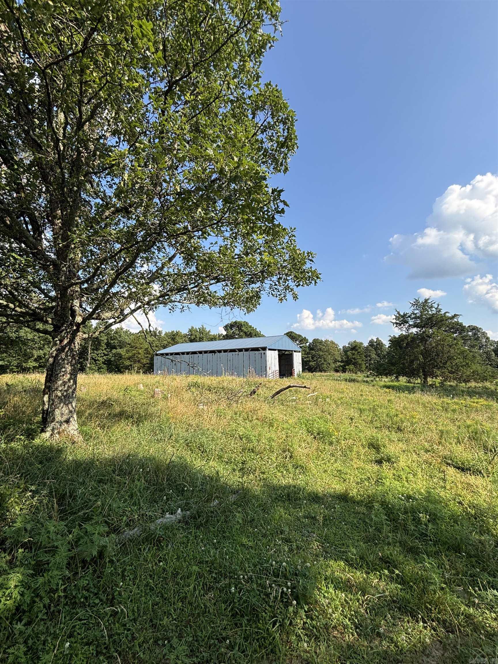 197 Penner Lane Drasco, AR 72530