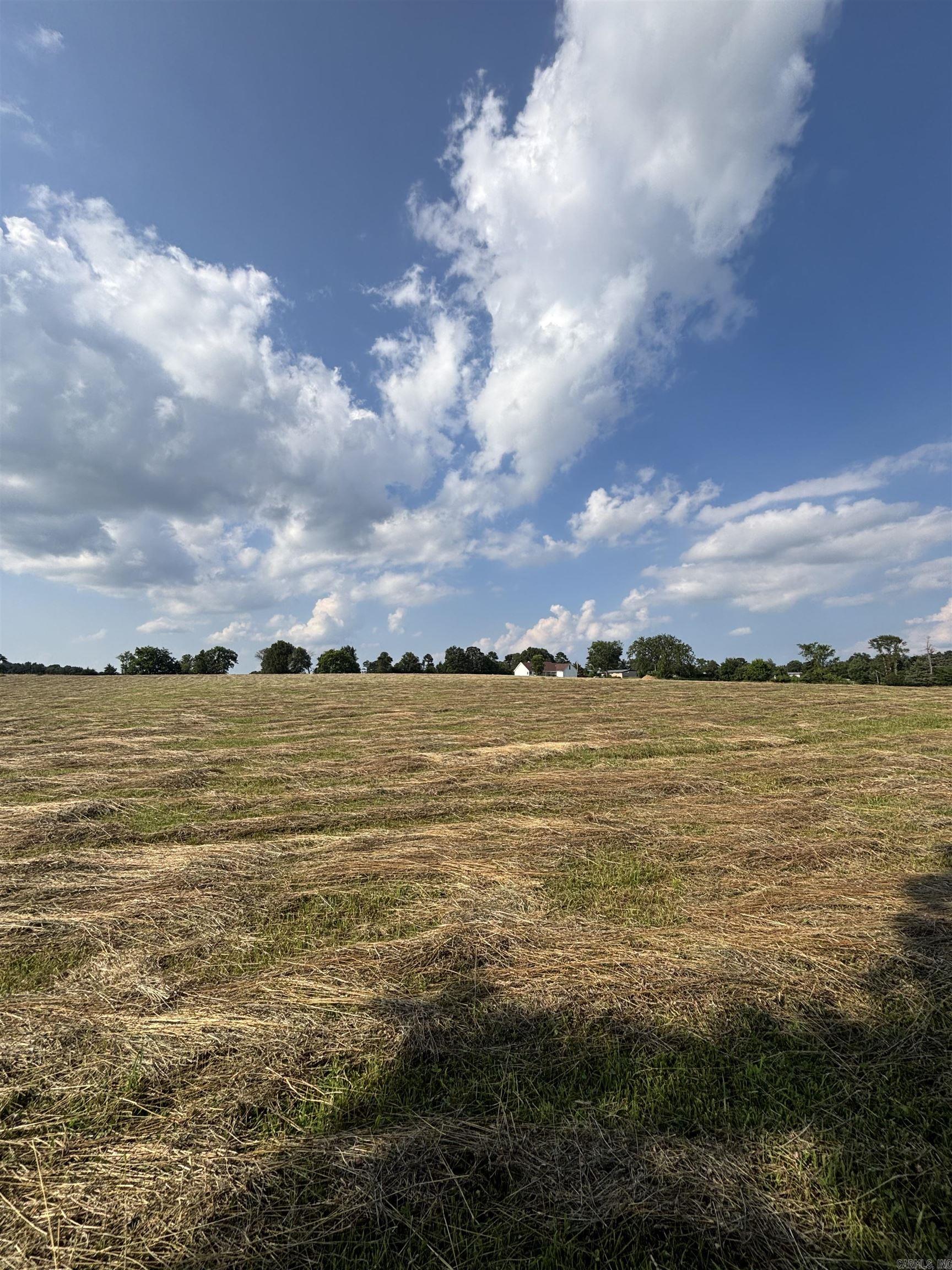 197 Penner Lane Drasco, AR 72530
