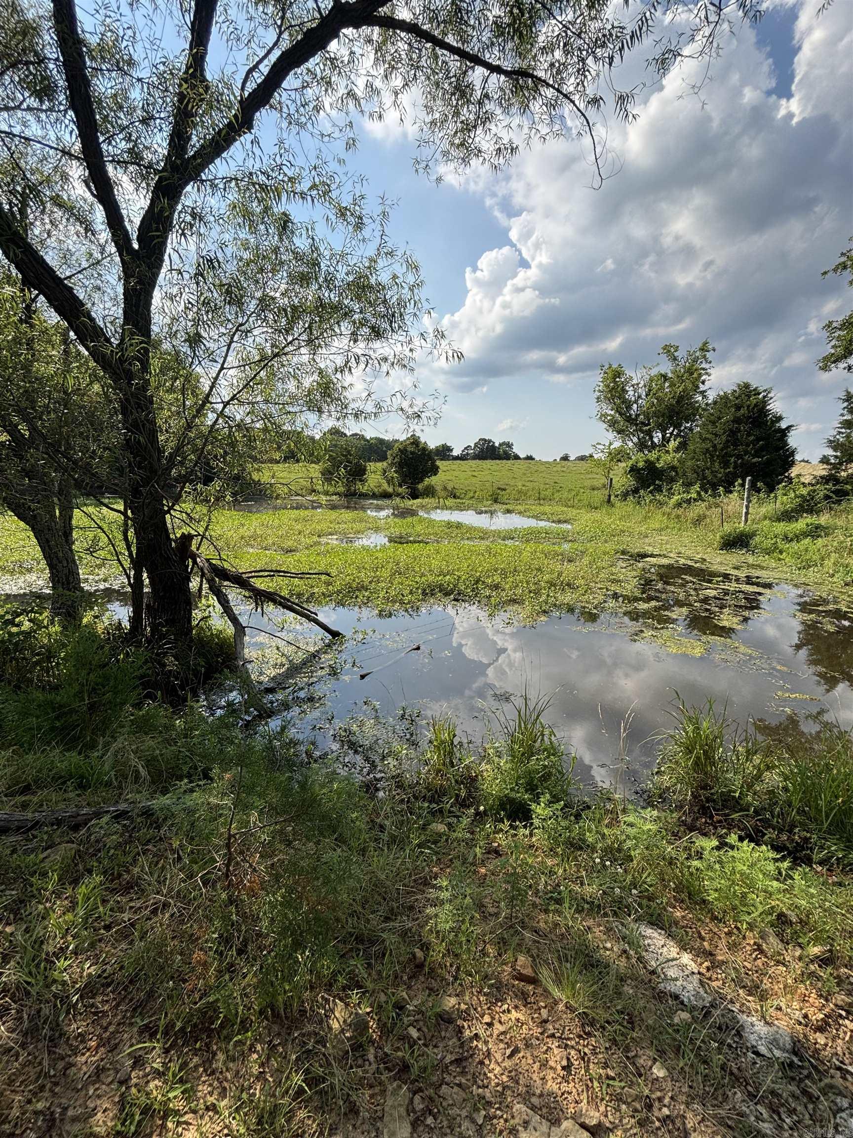 197 Penner Lane Drasco, AR 72530