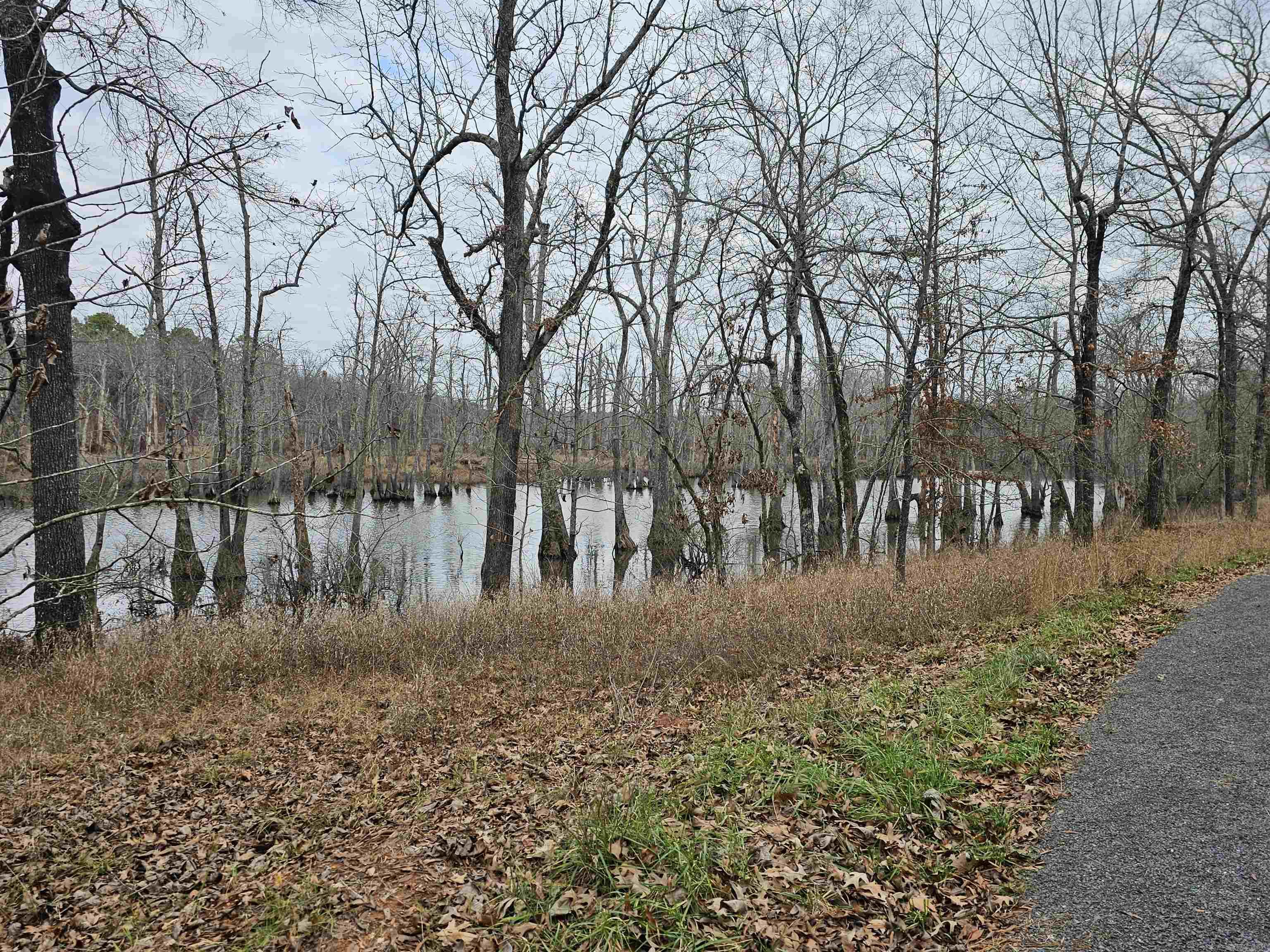 Lot 3 Devoe Bend  Maumelle, AR