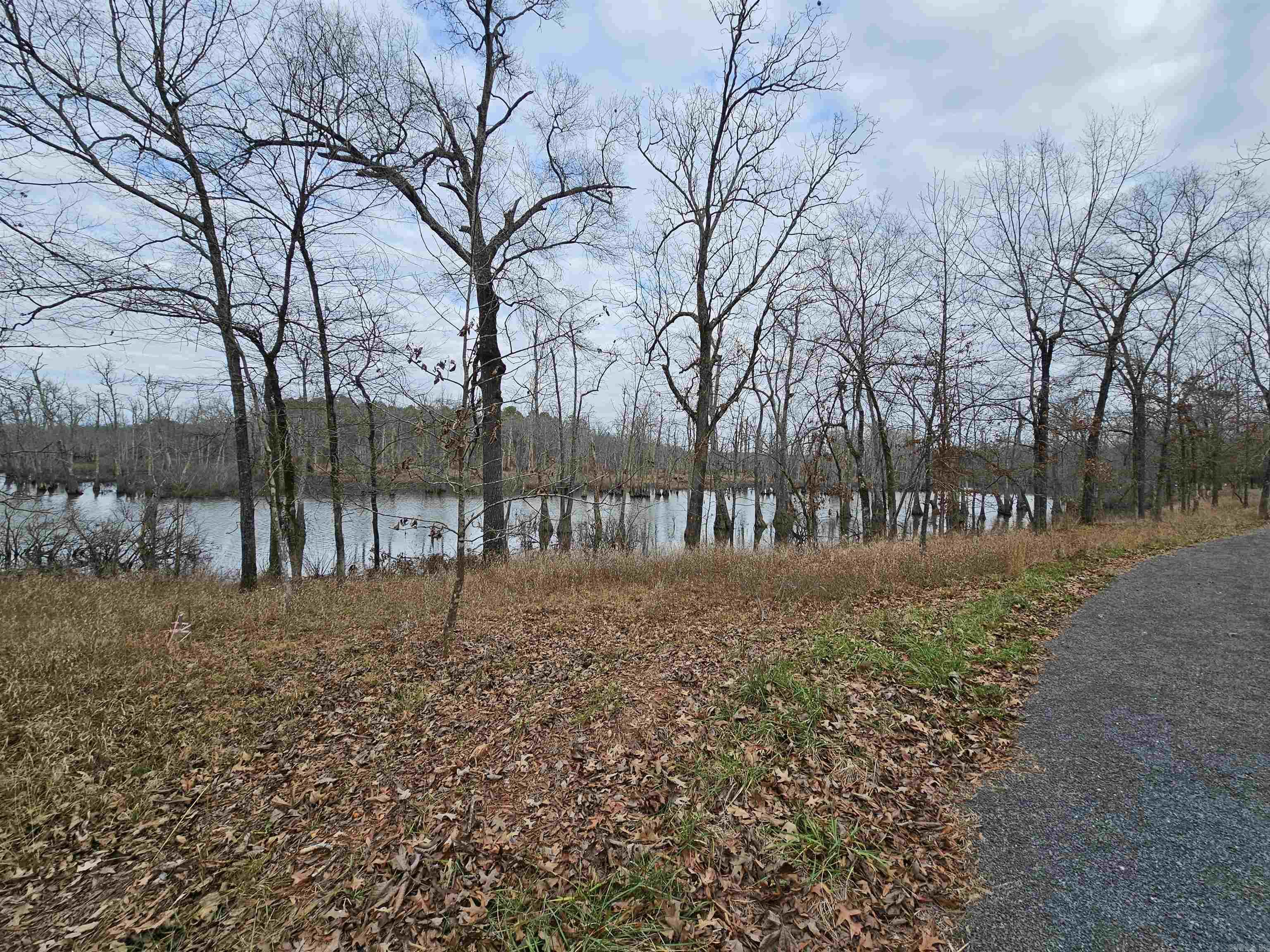 Lot 3 Devoe Bend  Maumelle, AR