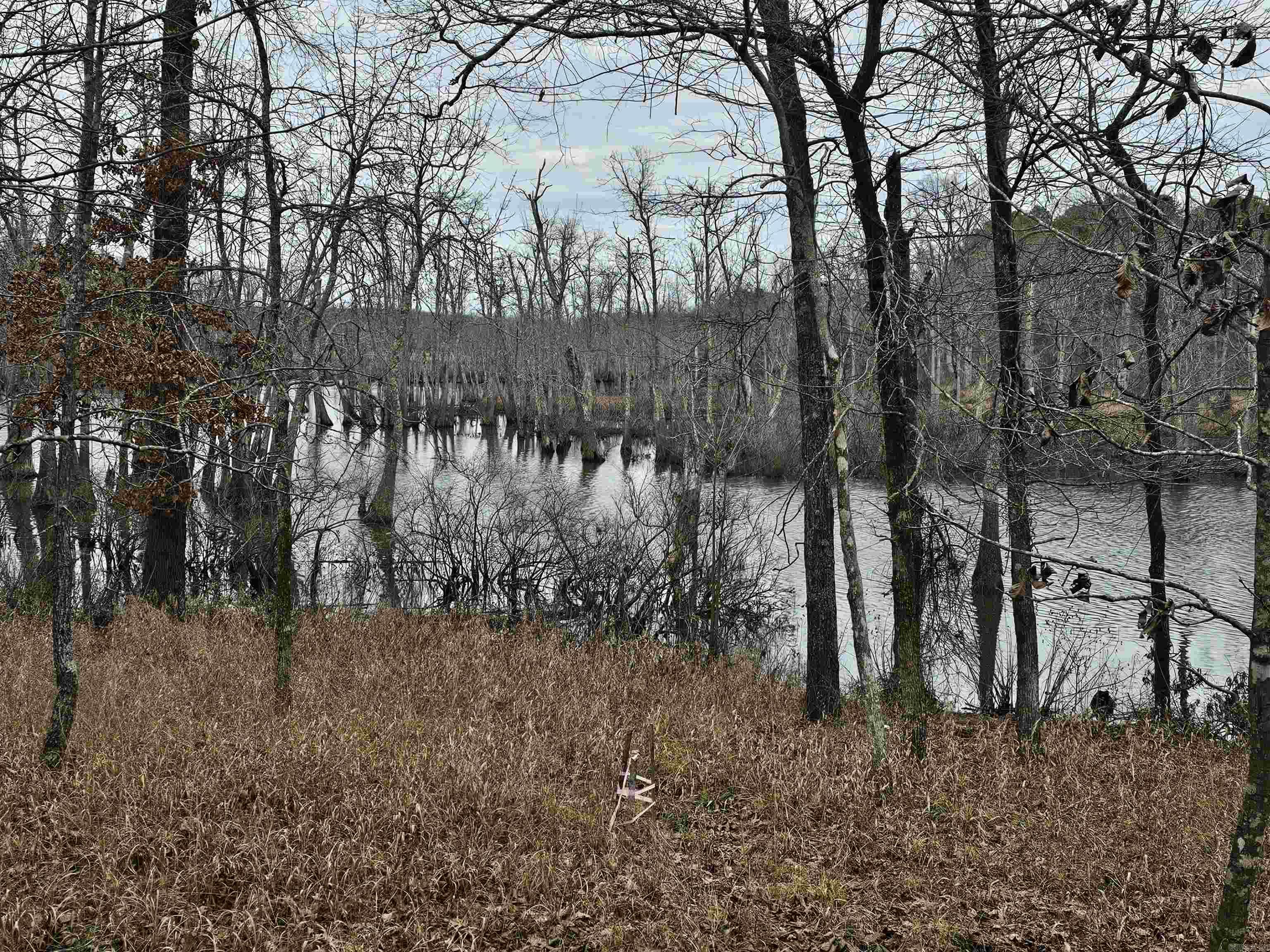 Lot 3 Devoe Bend  Maumelle, AR