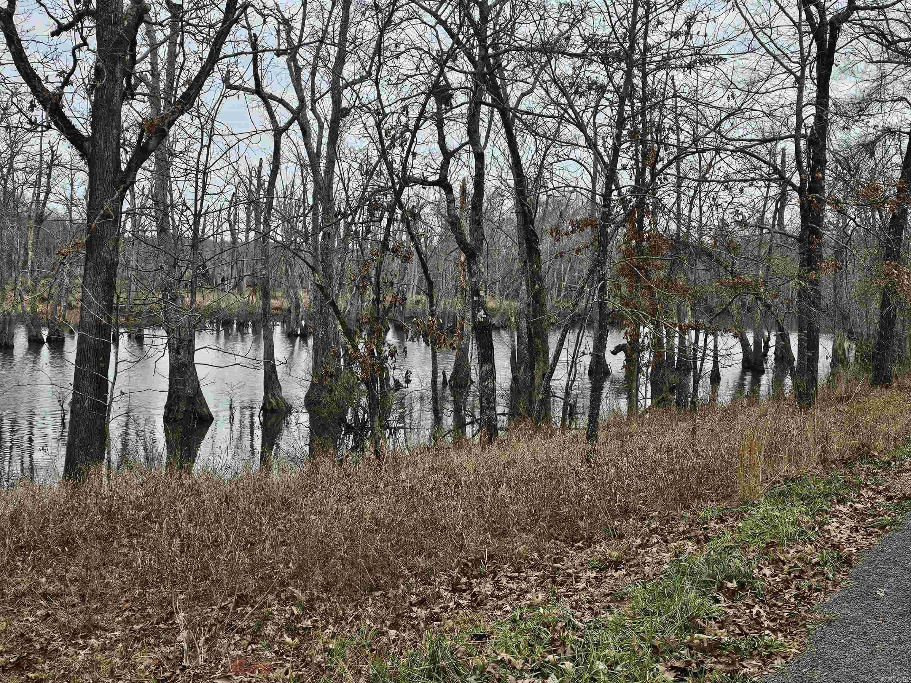Lot 3 Devoe Bend  Maumelle, AR