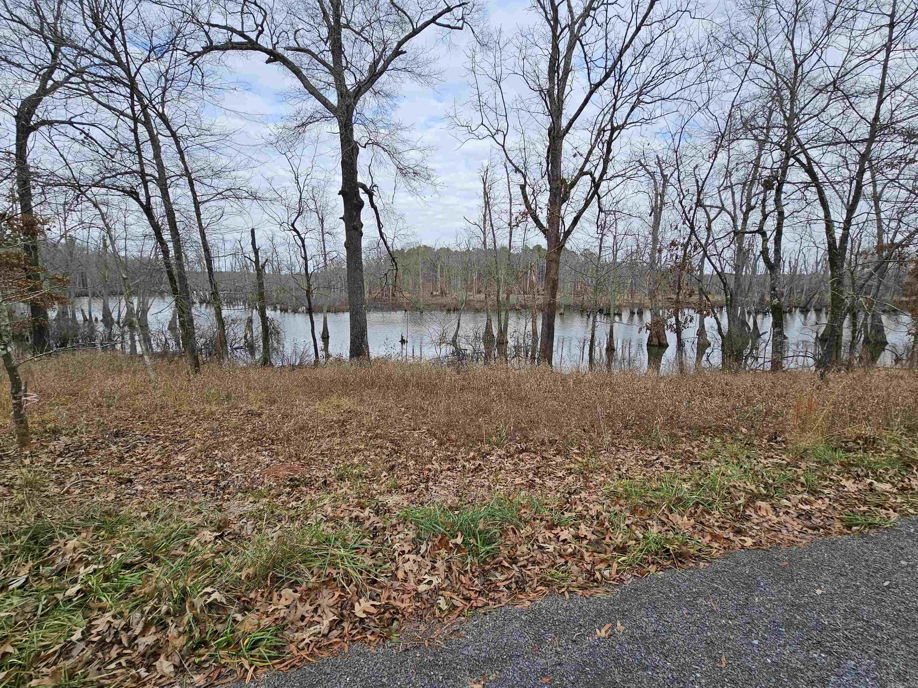 Lot 3 Devoe Bend  Maumelle, AR