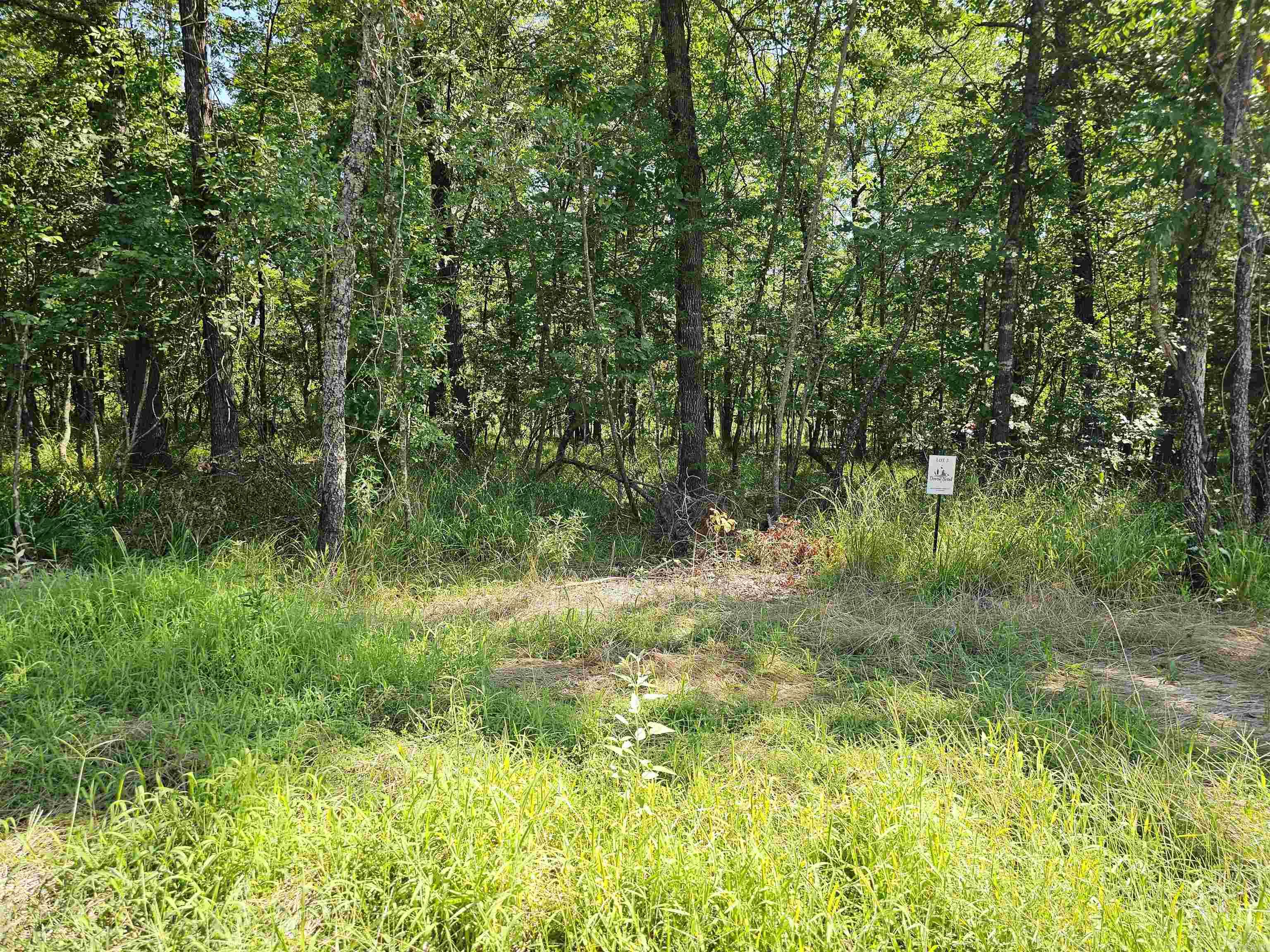 Lot 3 Devoe Bend  Maumelle, AR