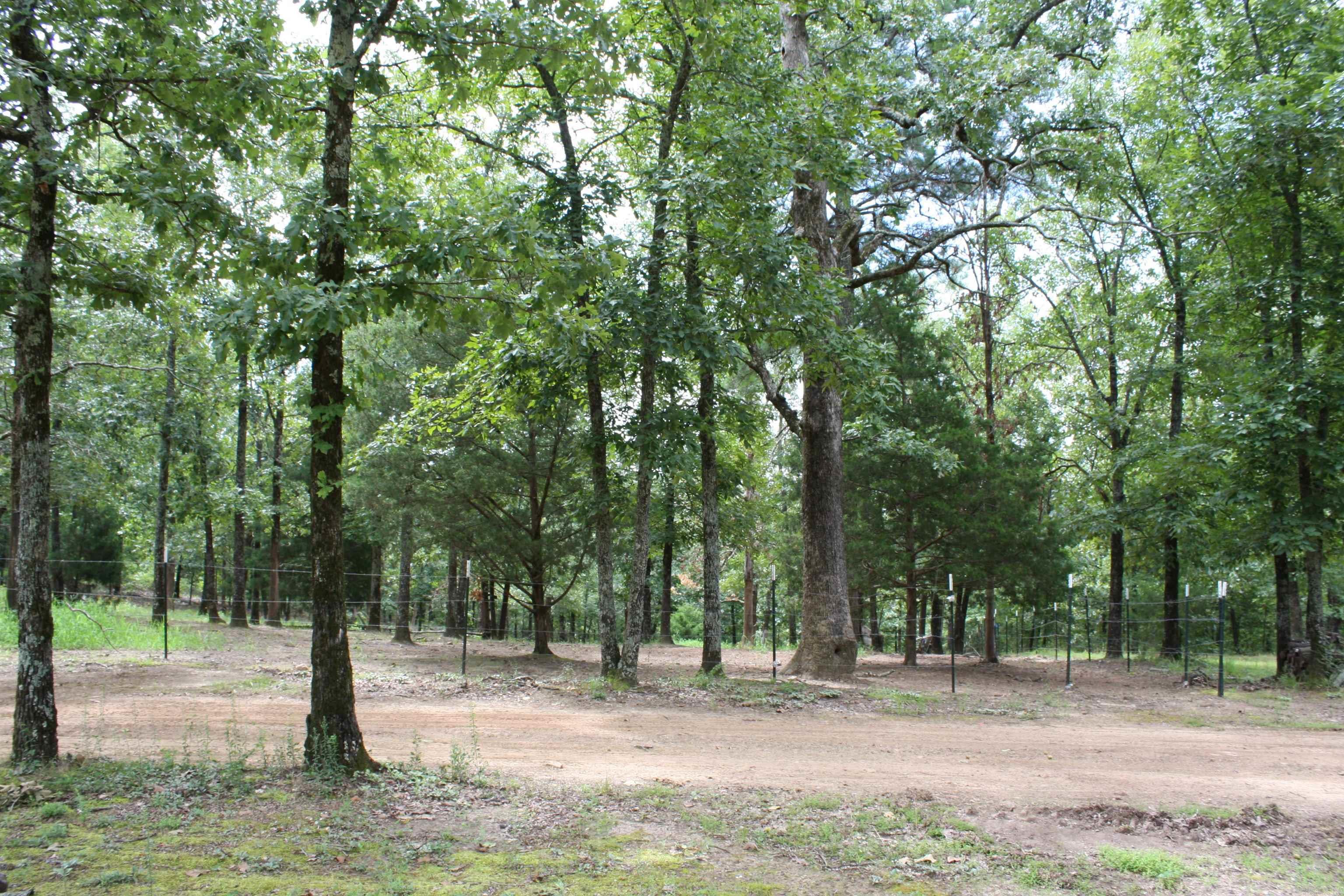 196 Stone Mountain Road Vilonia, AR 72032