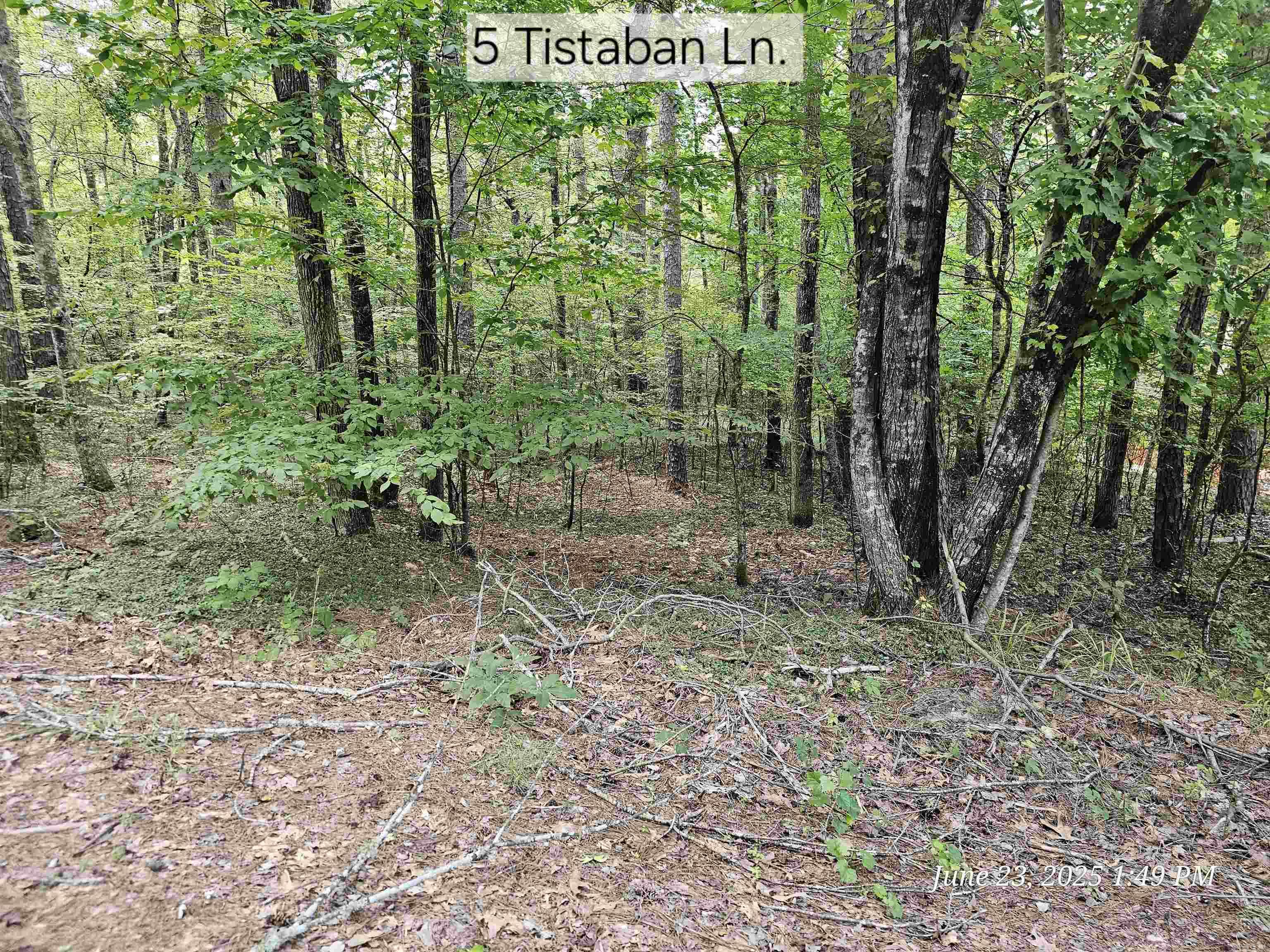 5 Tistaban  Hot Springs Village, AR
