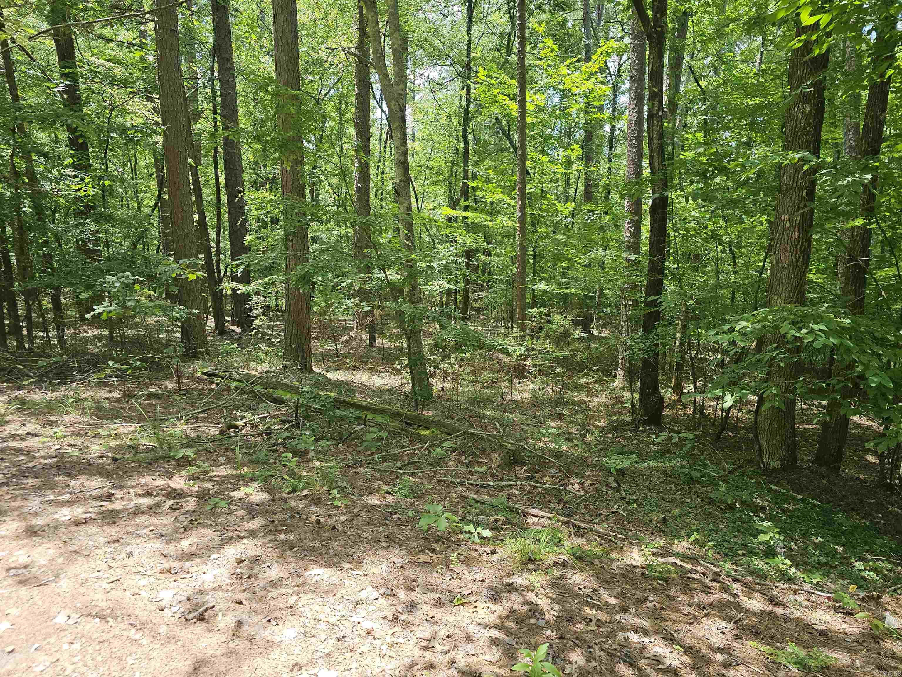 5 Tistaban  Hot Springs Village, AR