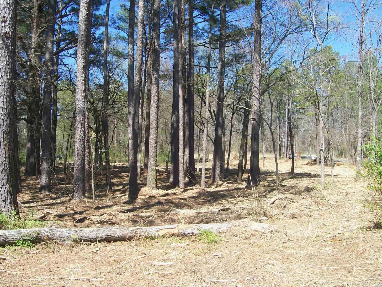 000 Big Duke  Hot Springs, AR