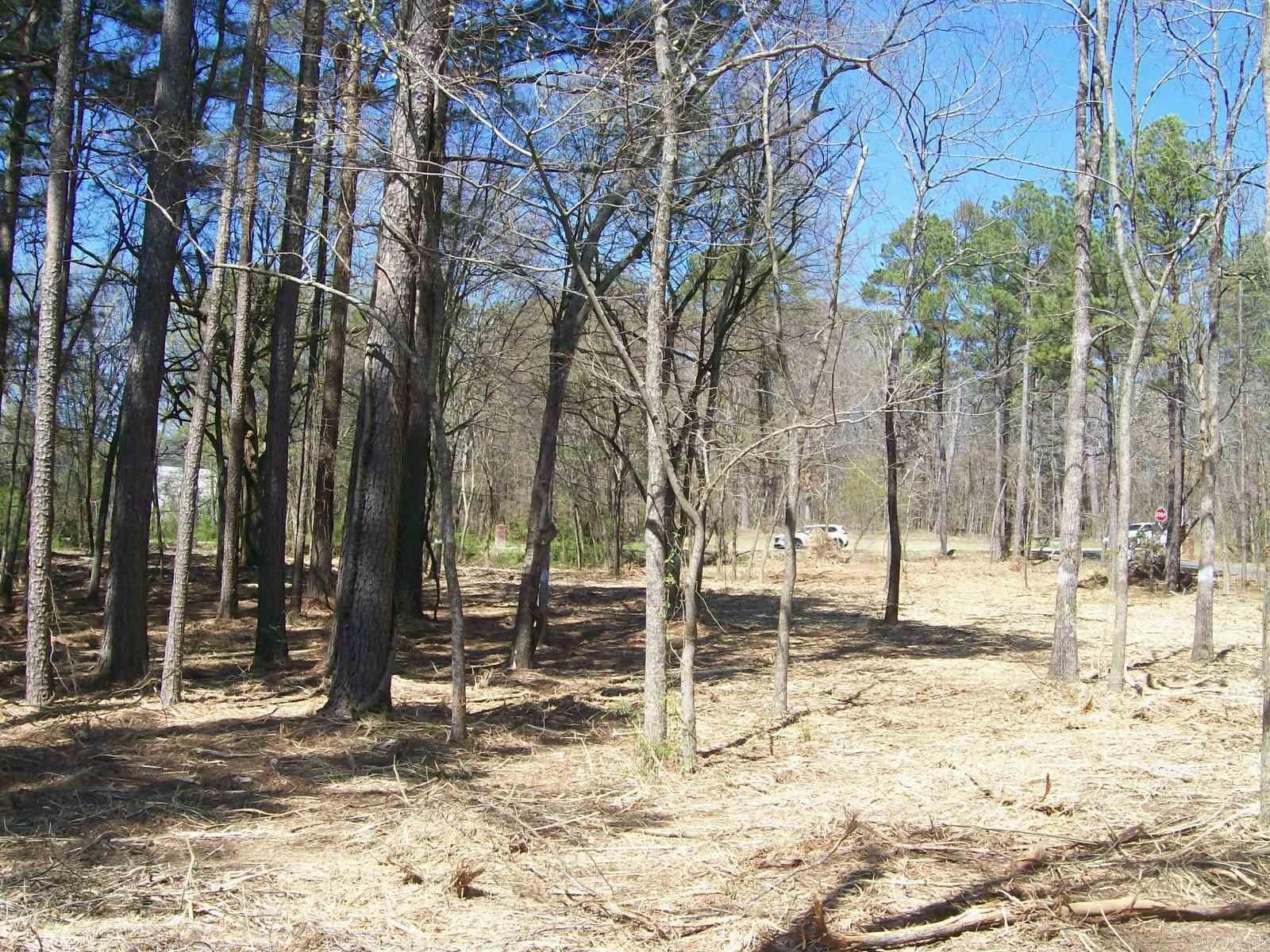 000 Big Duke  Hot Springs, AR