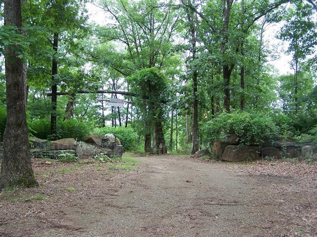 1307  Dodd Mtn. Rd.  Shirley, AR