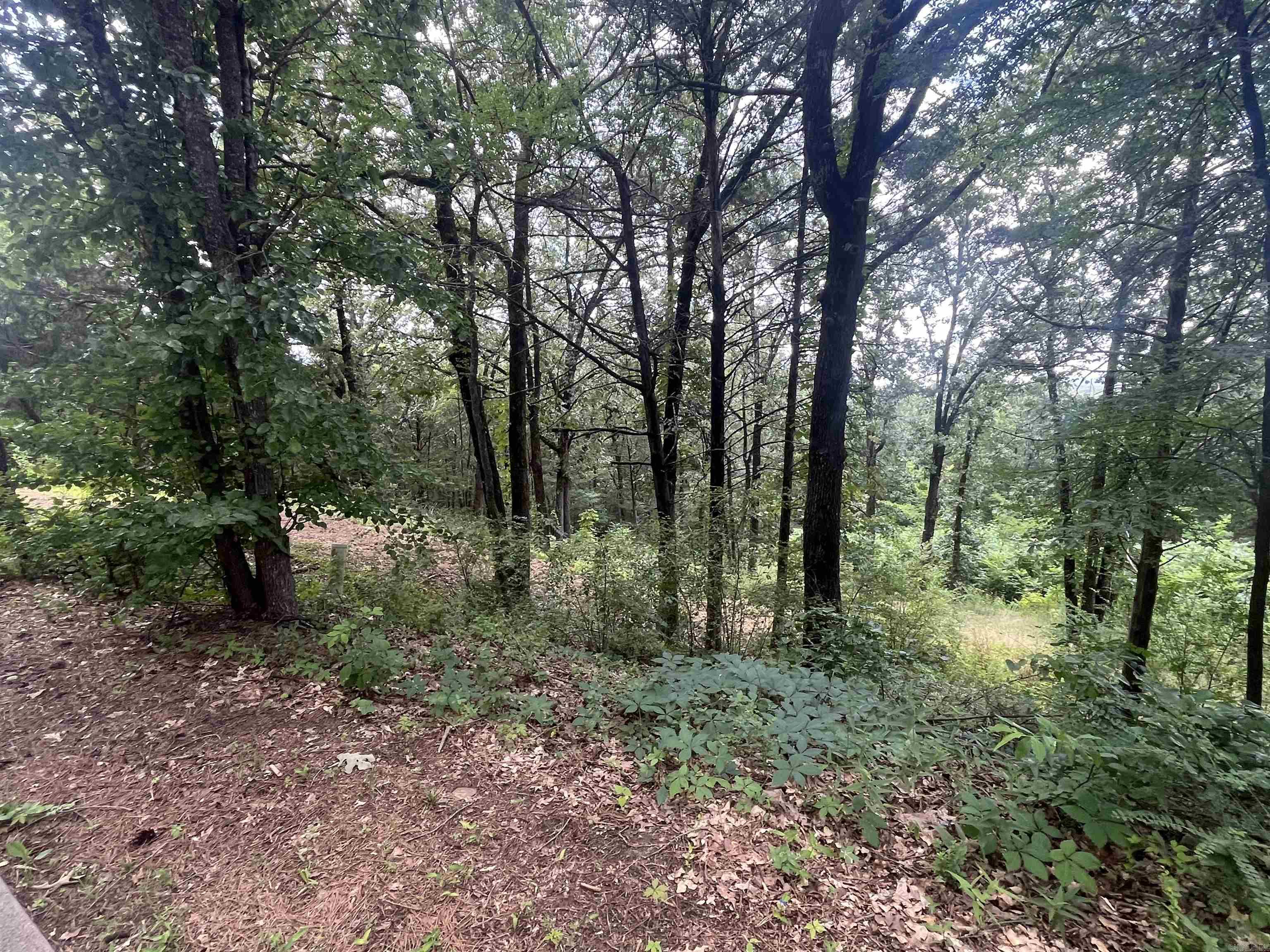 3265 Nob Hill  Conway, AR