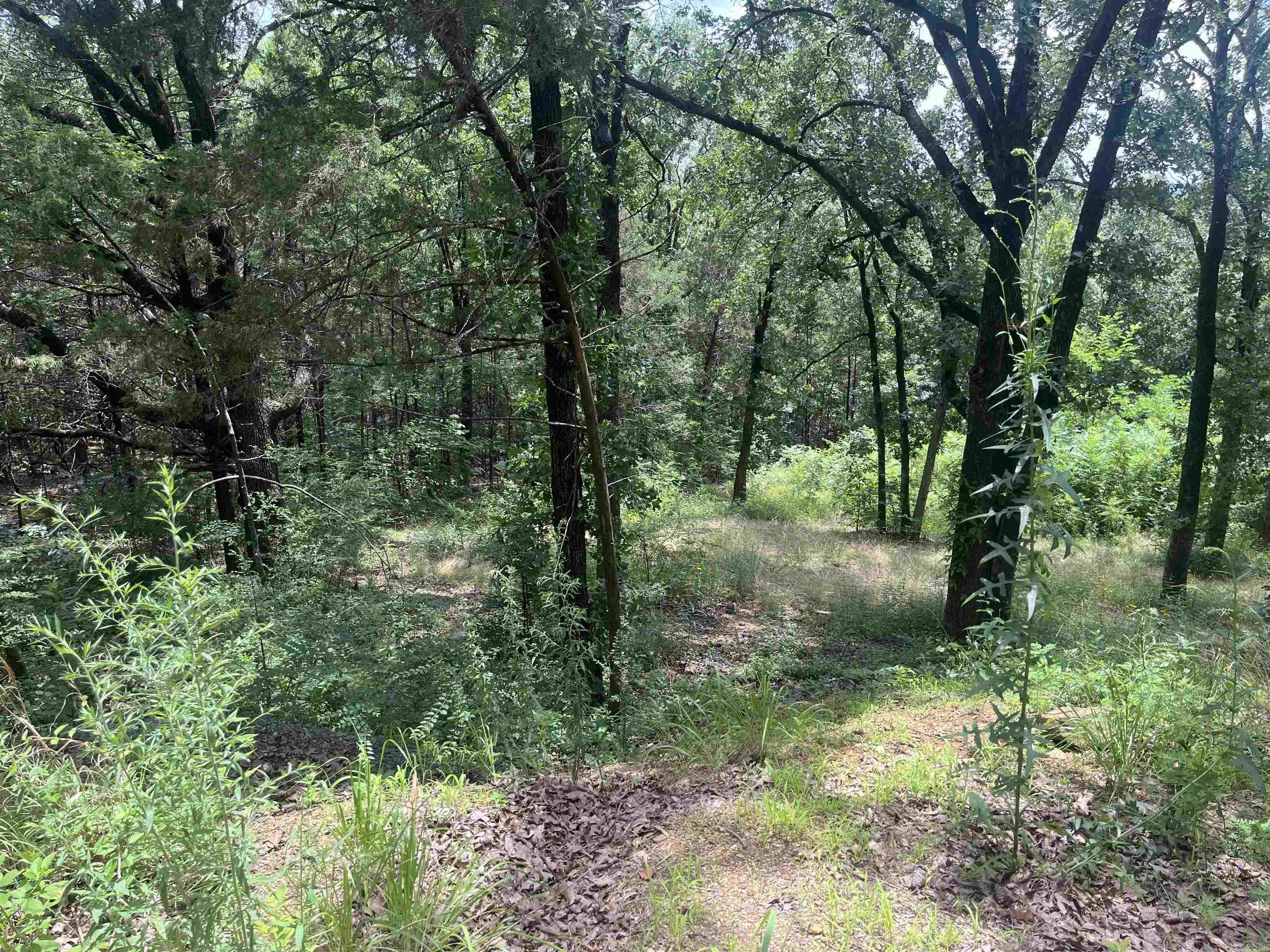 3265 Nob Hill  Conway, AR
