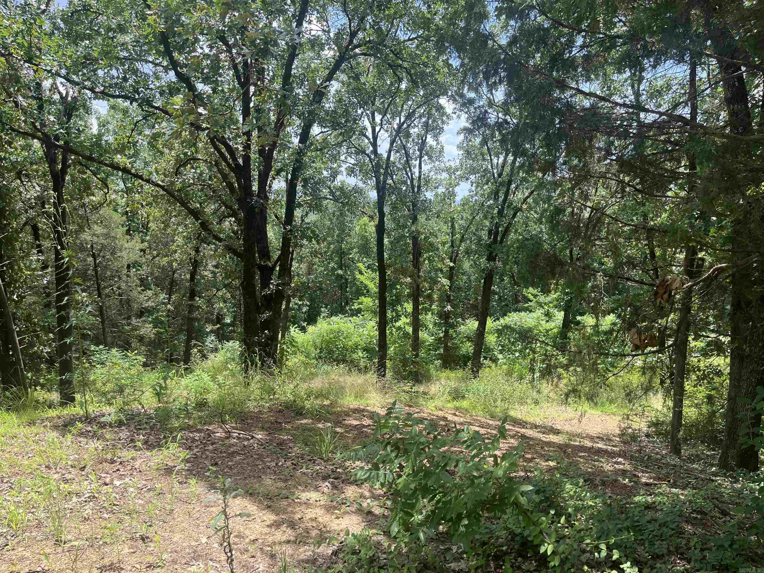3265 Nob Hill  Conway, AR
