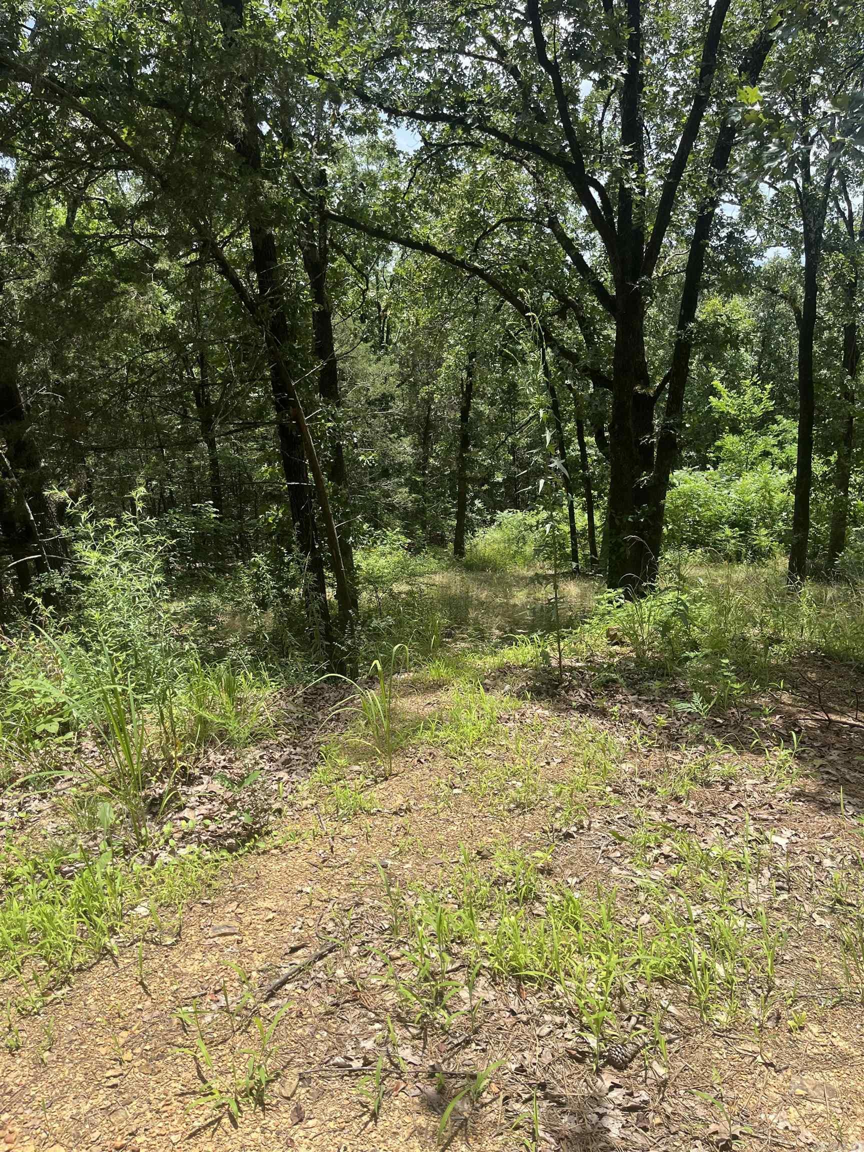 3265 Nob Hill  Conway, AR