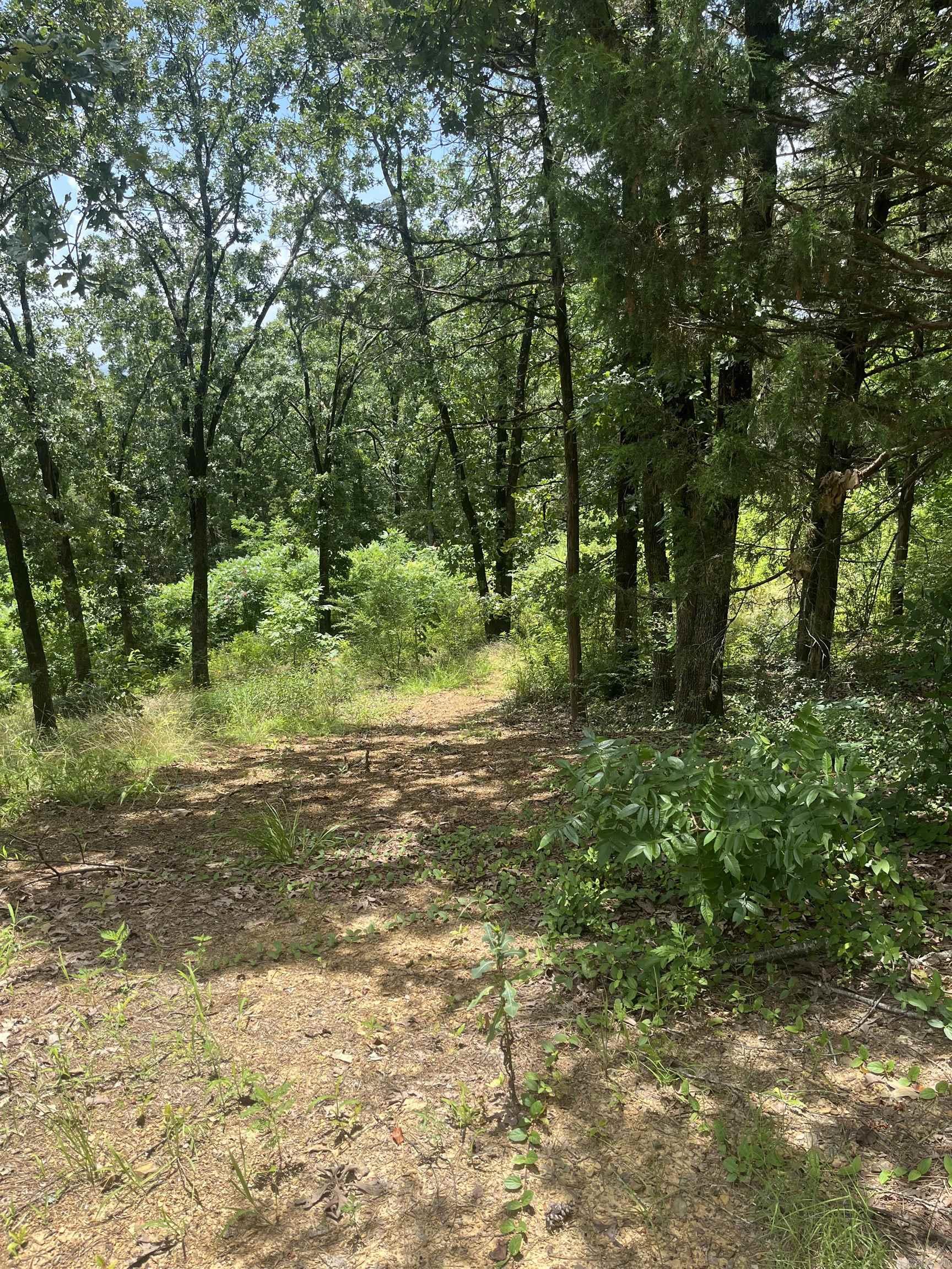 3265 Nob Hill  Conway, AR