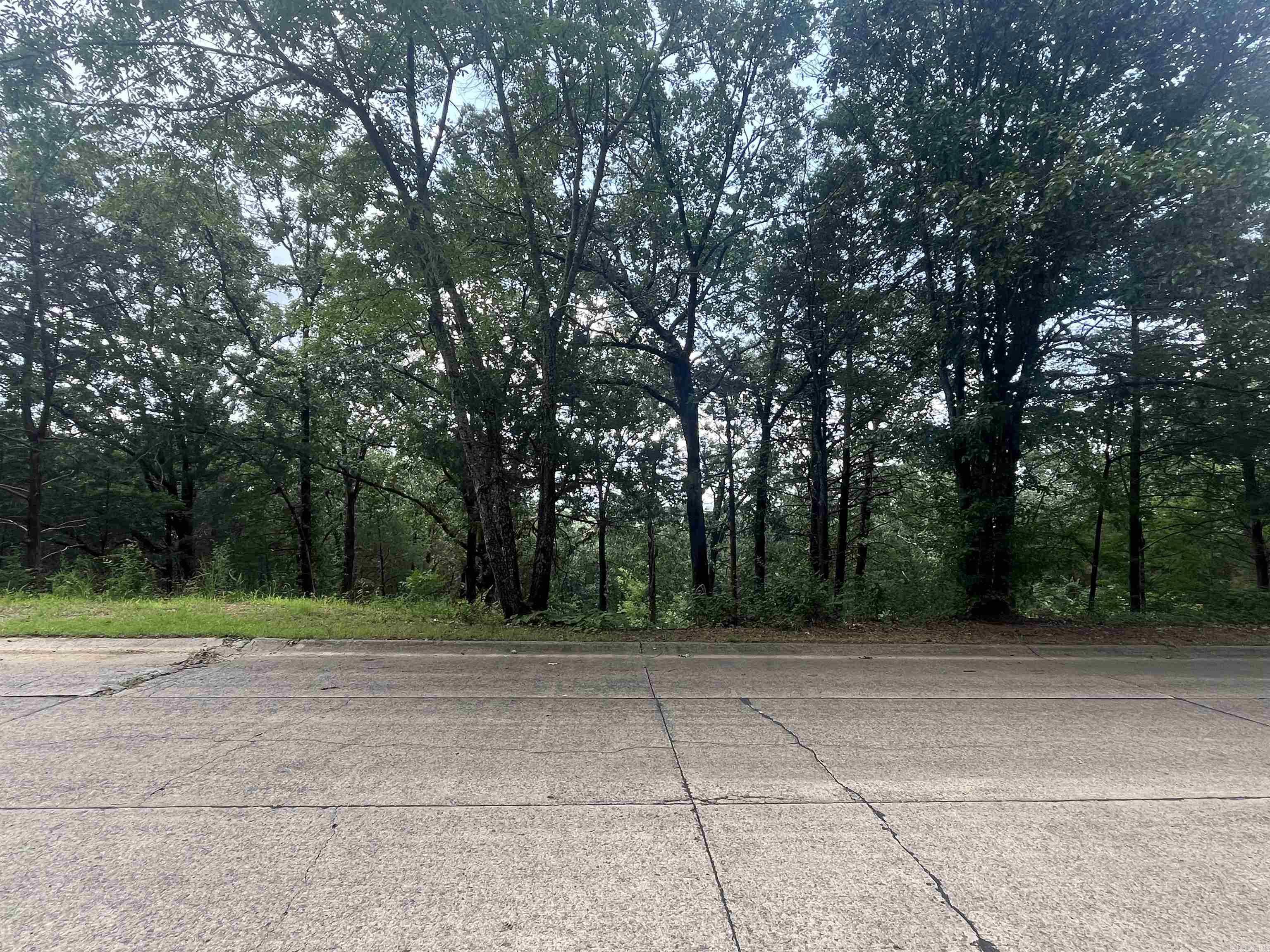 3265 Nob Hill  Conway, AR